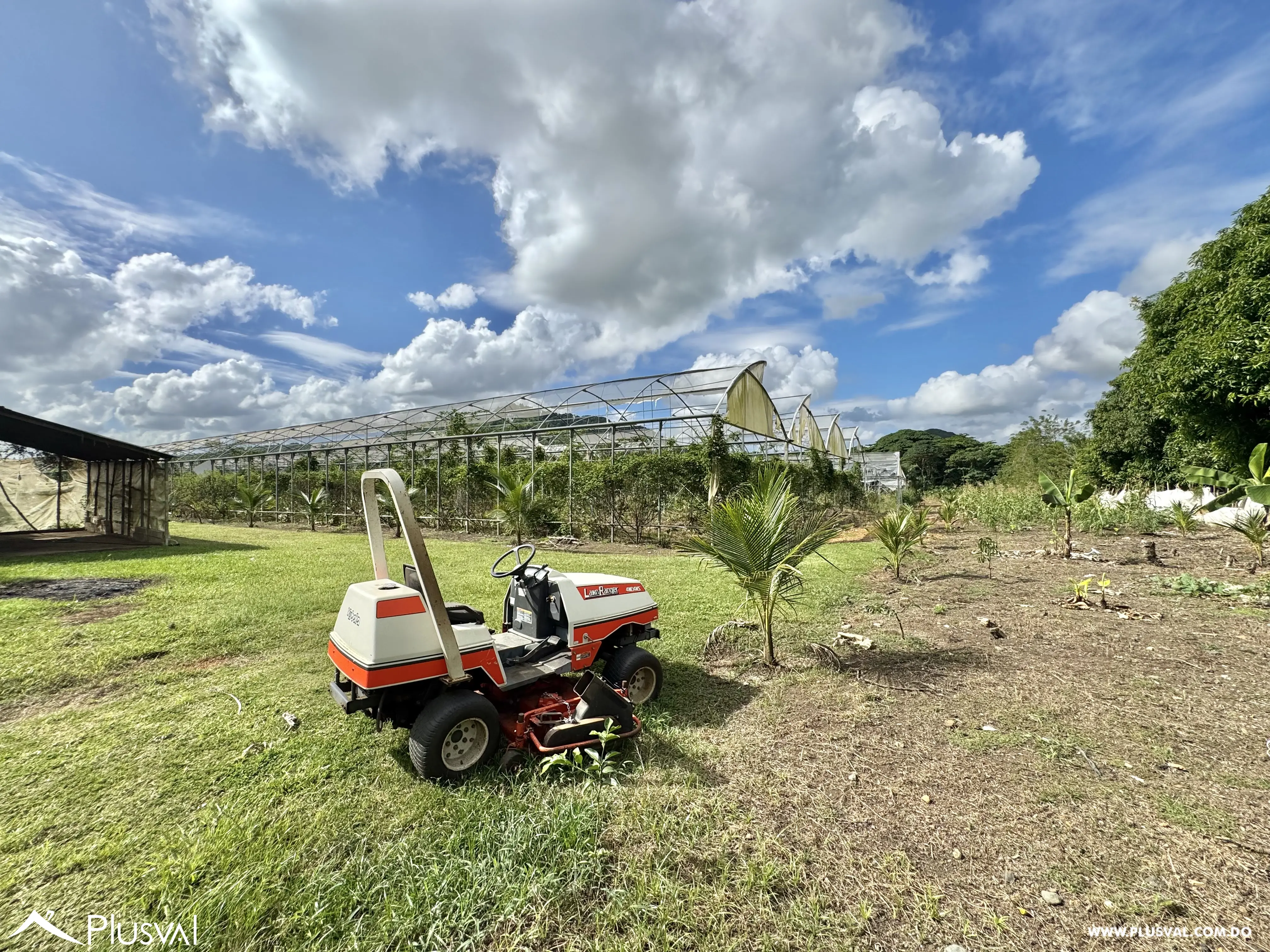 Vendo Maravillosa Finca con Importantes Mejoras en Pedro barnd 479772