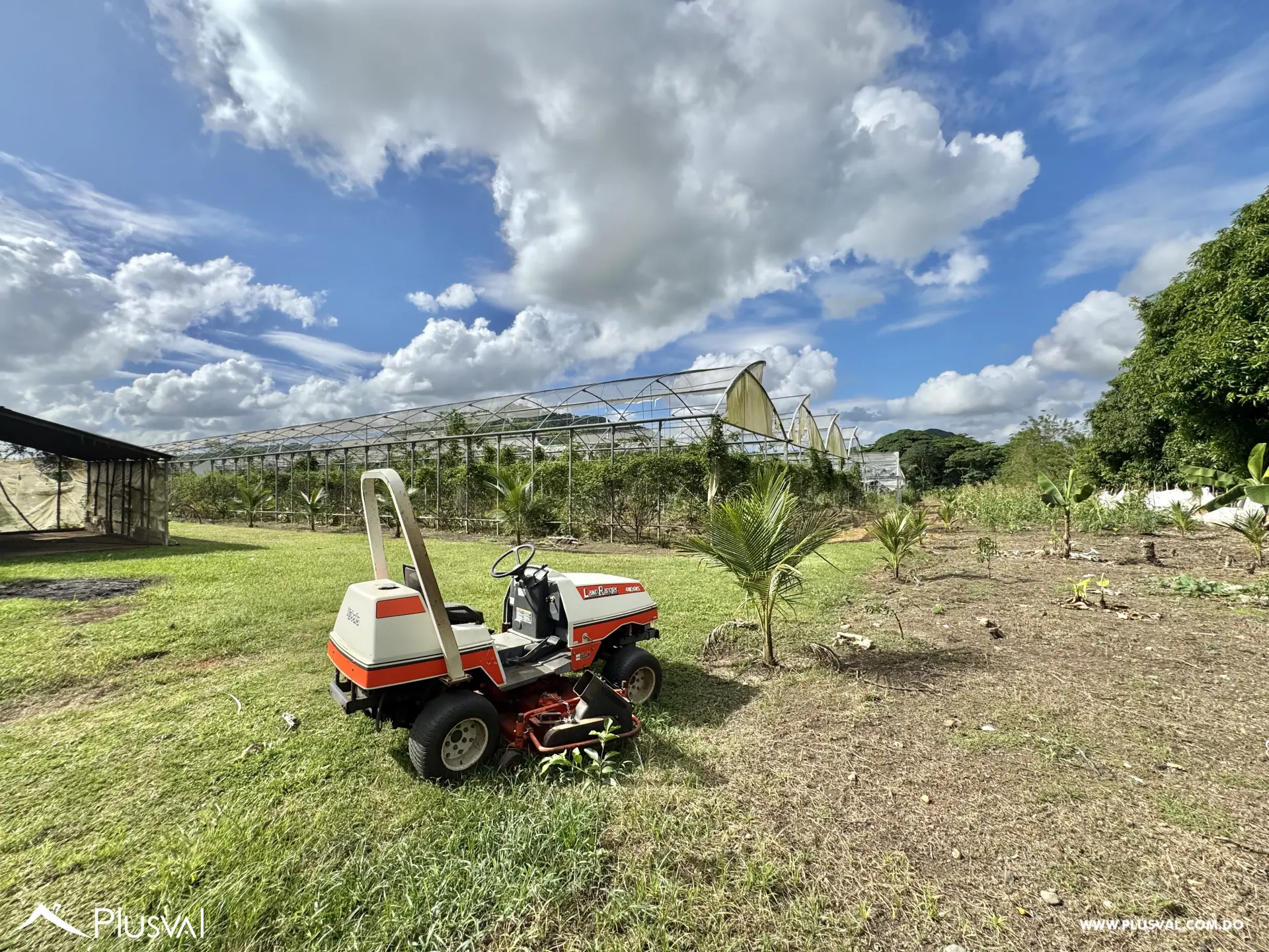 Vendo Maravillosa Finca con Importantes Mejoras en Pedro barnd 479772