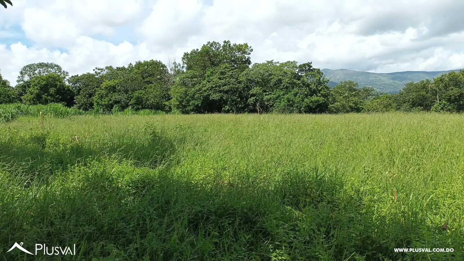 Finca a la venta en Piedra Blanca, Monseñor Nouel, carretera Yuboa 463549