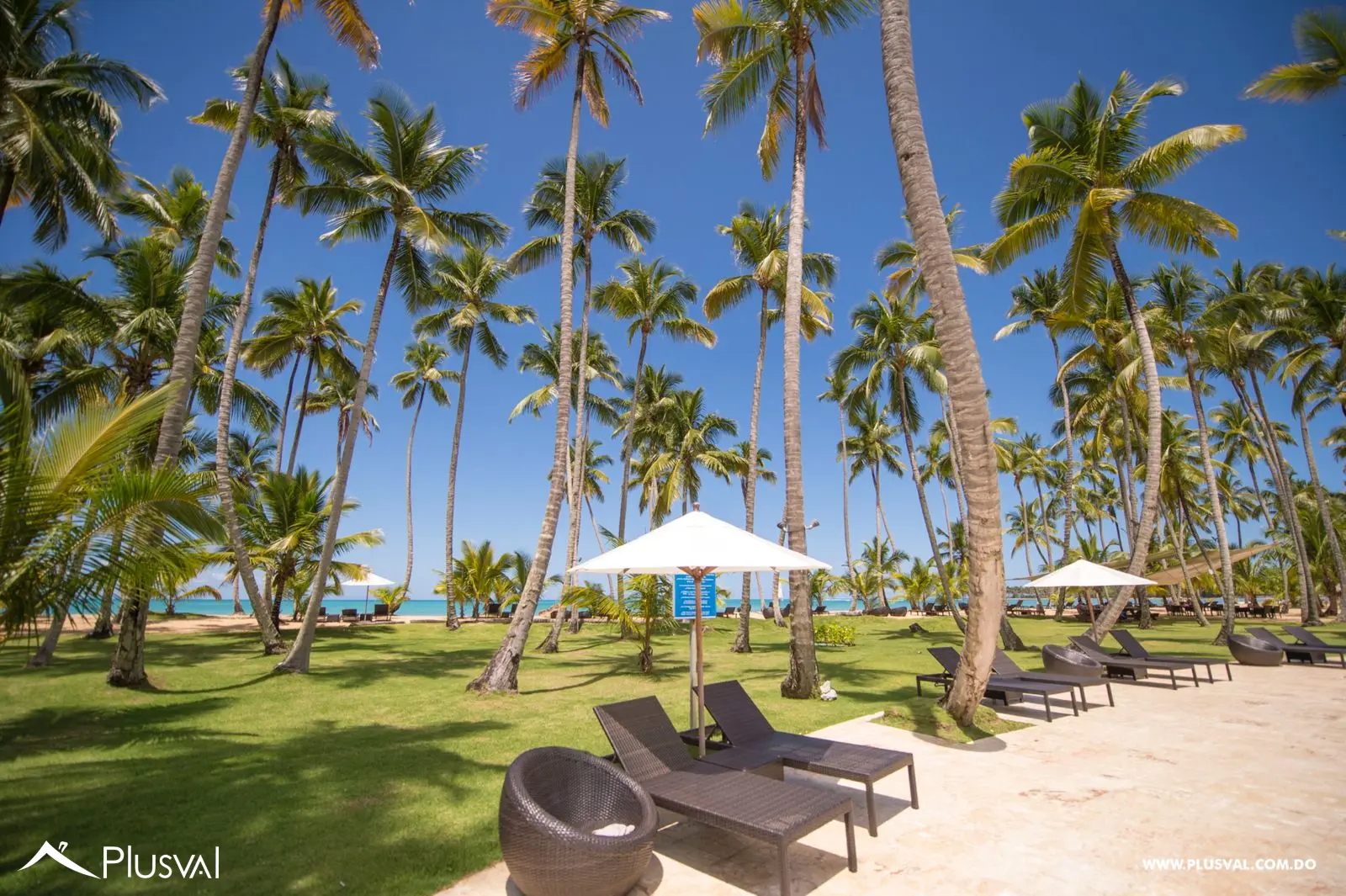 Hermoso apartamento con terraza en Coson en primera linea de playa 482380