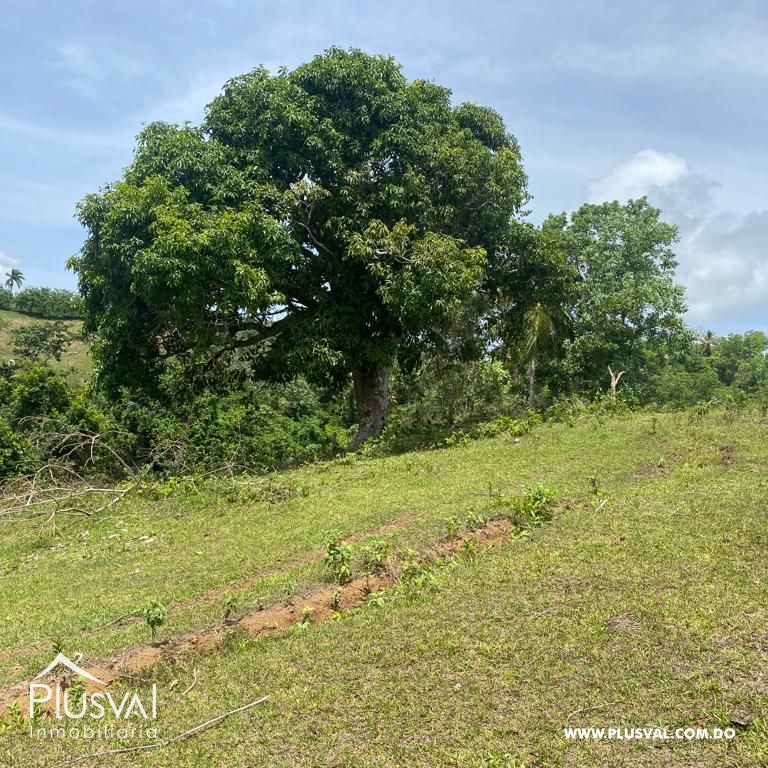 Terreno en Venta en Las Terrenas - Samaná | 190,930 m² Naturaleza y Altitud 313405