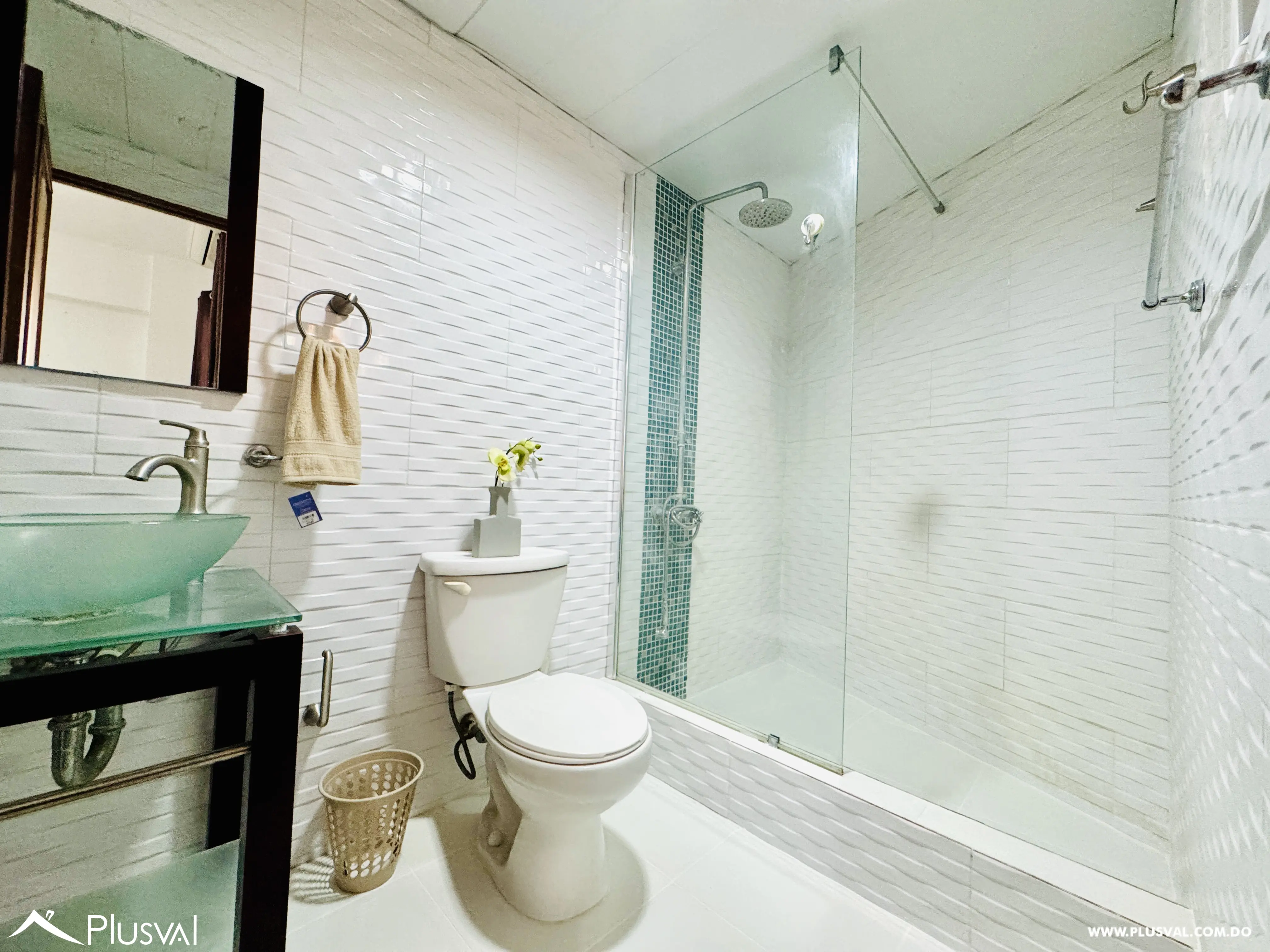 Amplio apartamento clásico en alquiler en Piantini 469300