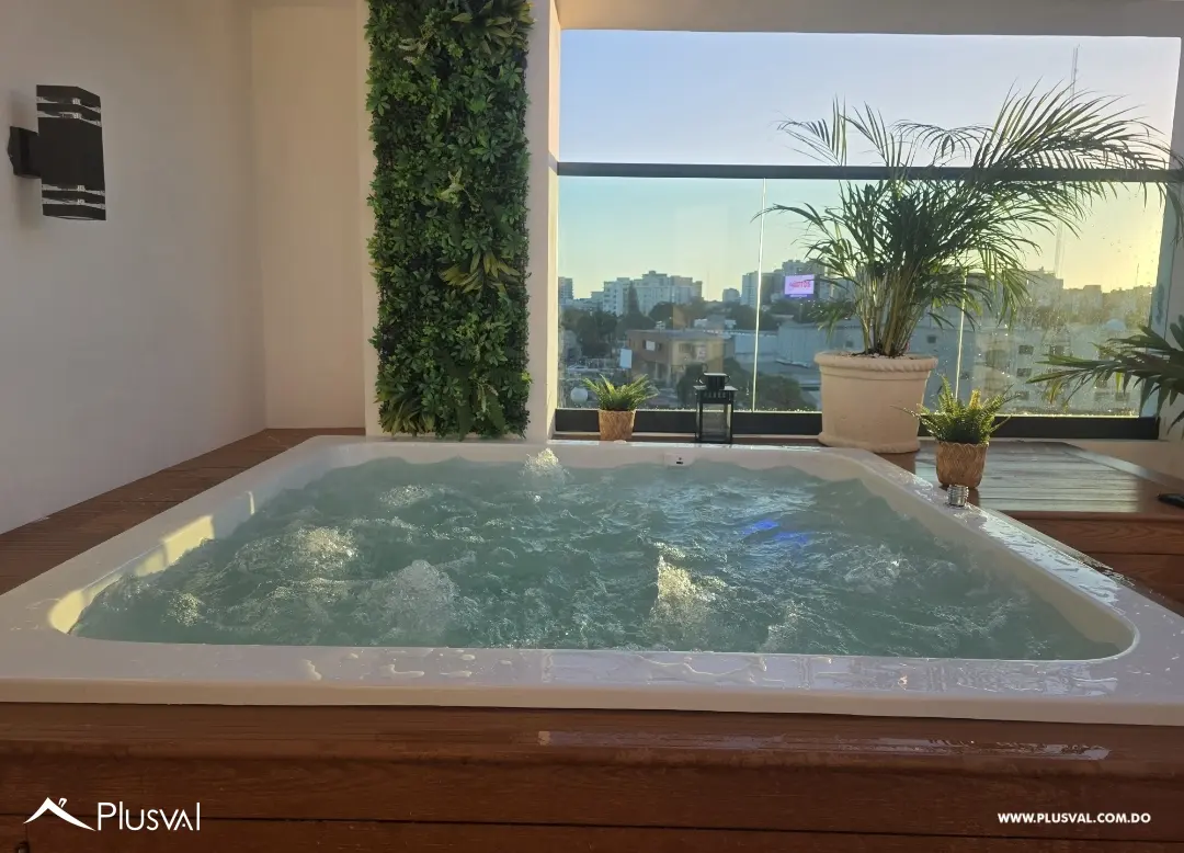 2 Apartamentos juntos pero separados, tipo Penthouse. nivel cuarto y nivel 5 520355