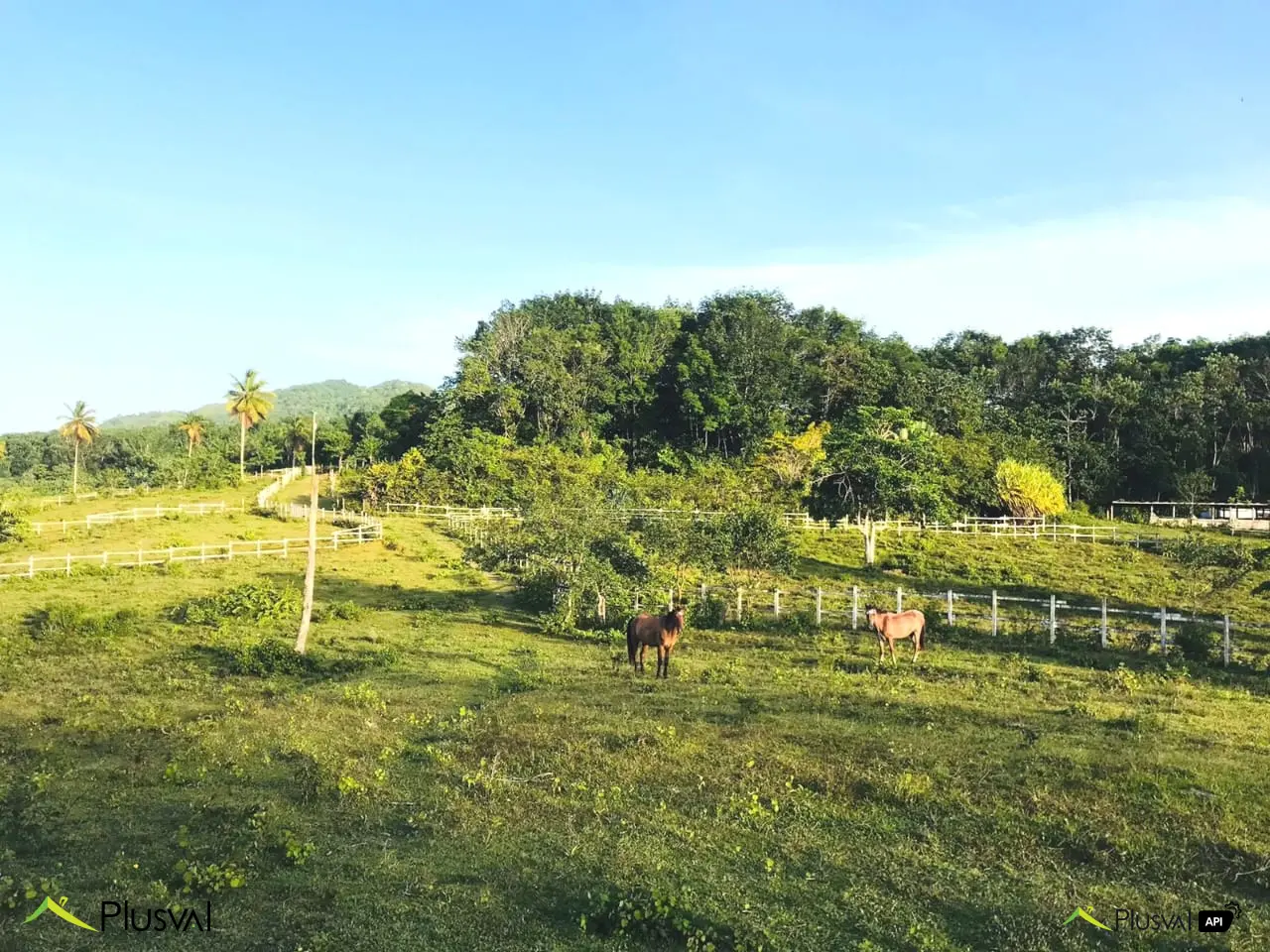 Finca en venta en Las Terrenas, inversión ideal en el paraíso 450856