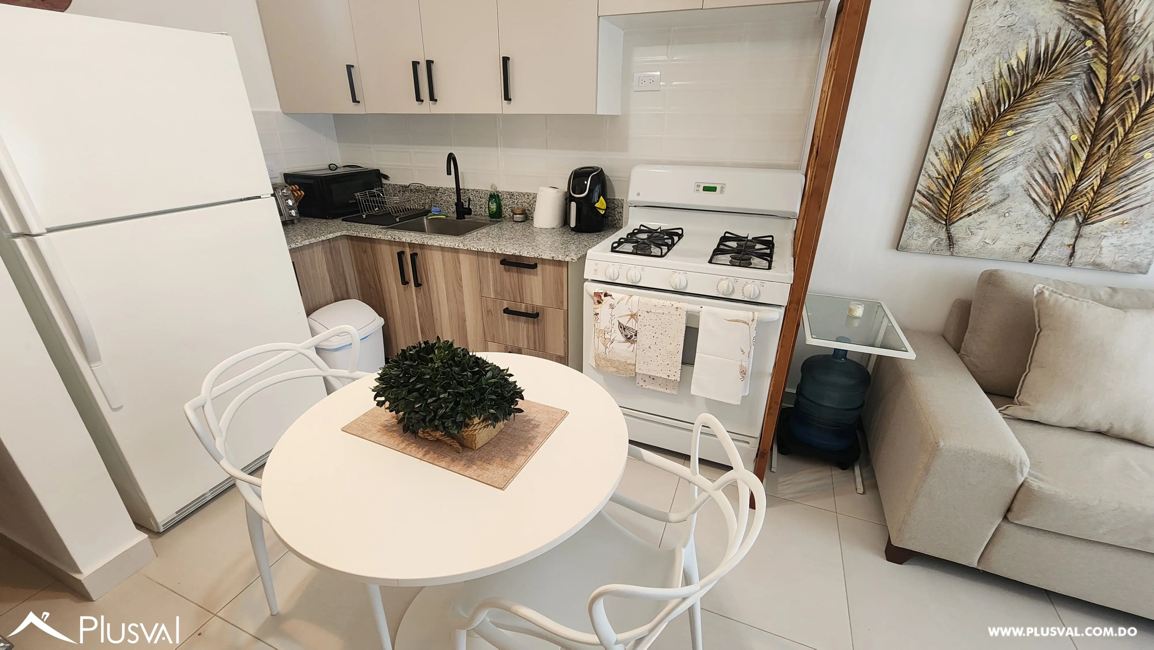 Apartamento de 1 habitacion completamente amueblado 499866