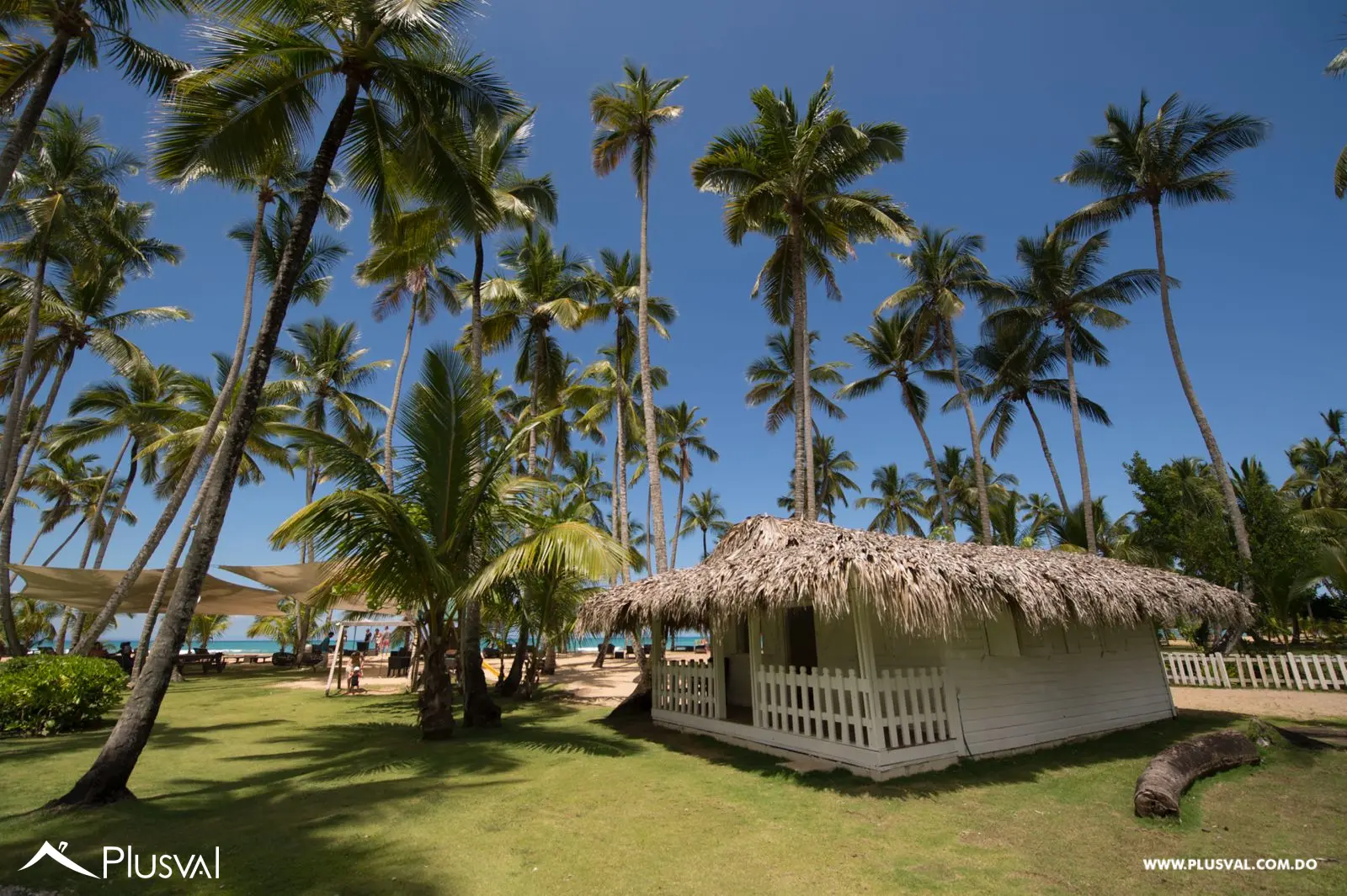 Hermoso apartamento con terraza en Coson en primera linea de playa 482406