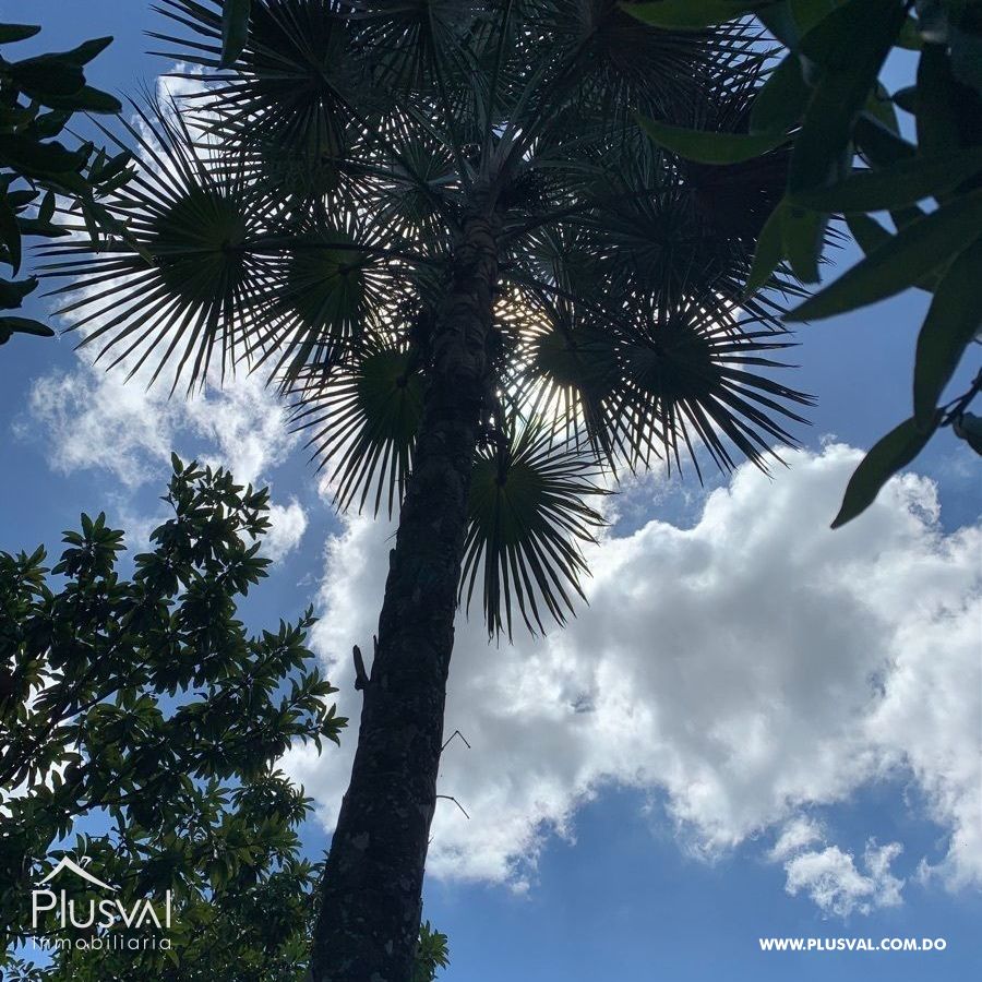 Finca de frutales en Yaguate, San Cristóbal 397870