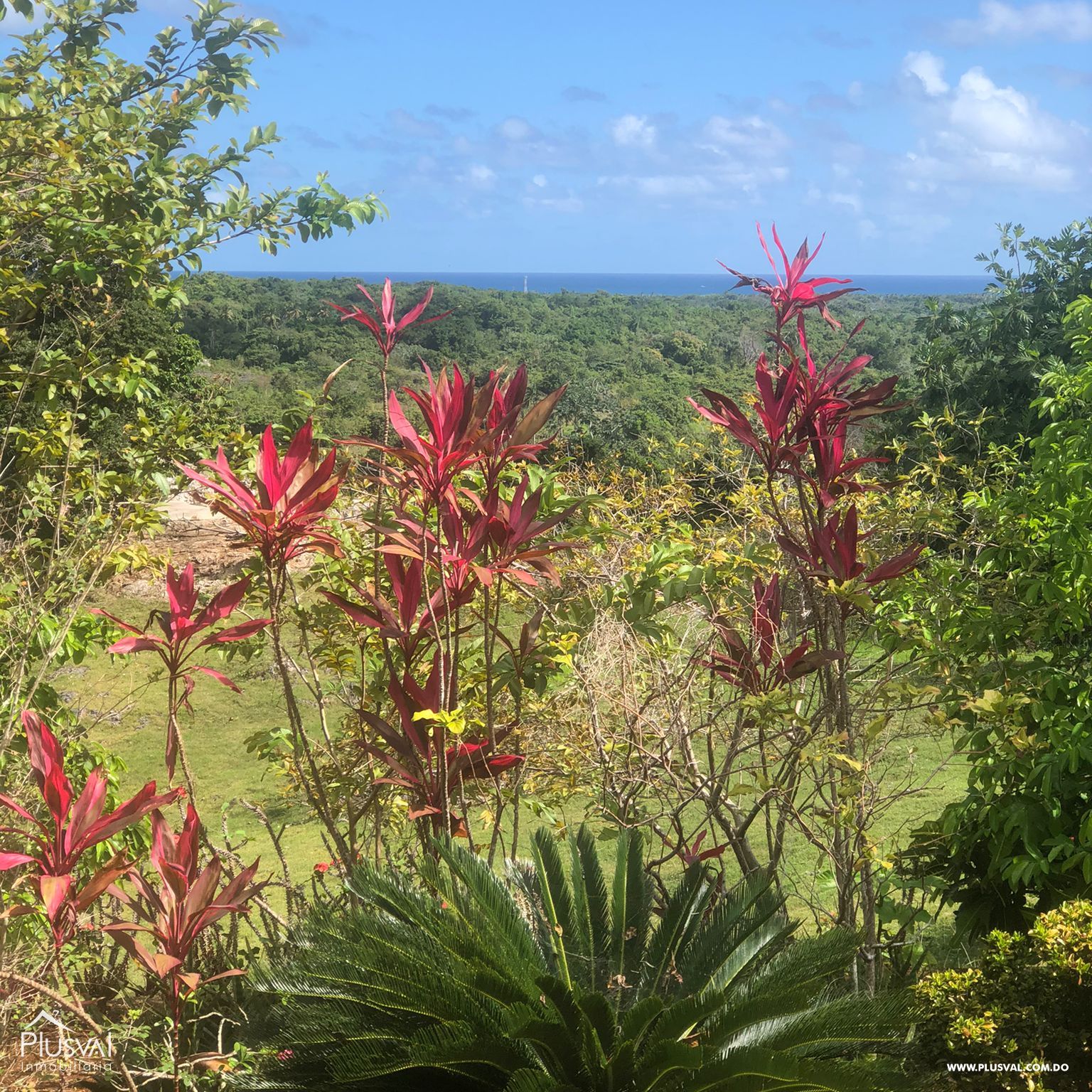 Venta de solar Las Galeras 307802