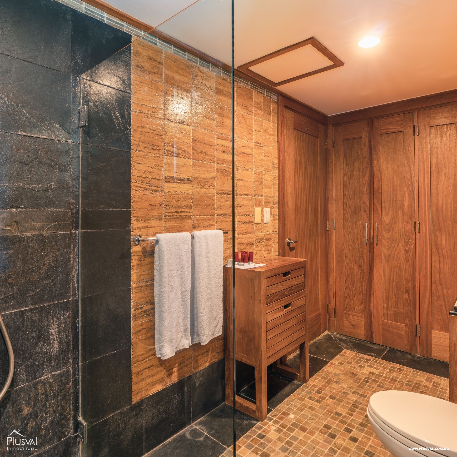 Espectacular Apartamento en Venta en Las Terrenas 343703