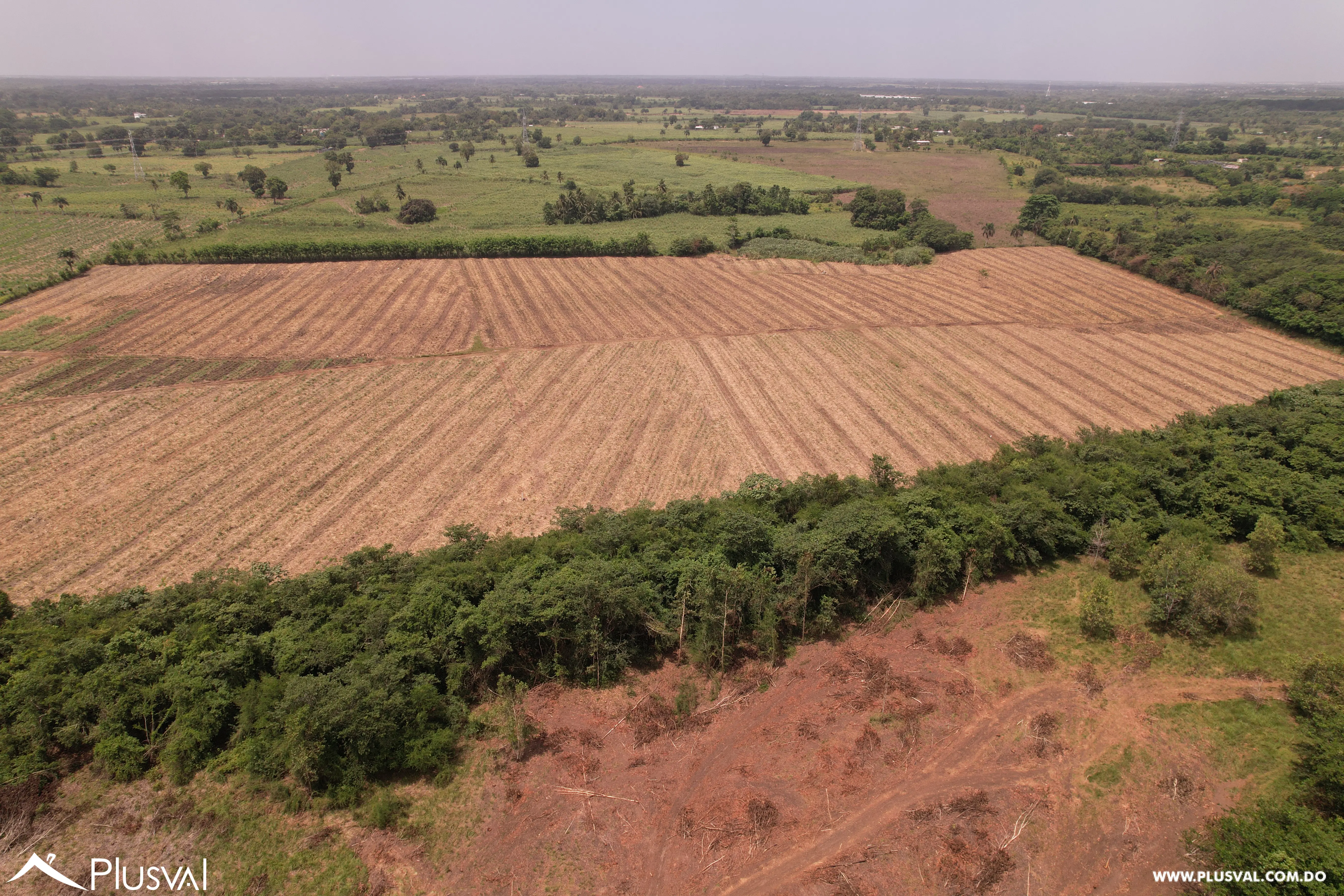 Finca Ganadera Deslindada de 271 Tareas 515866