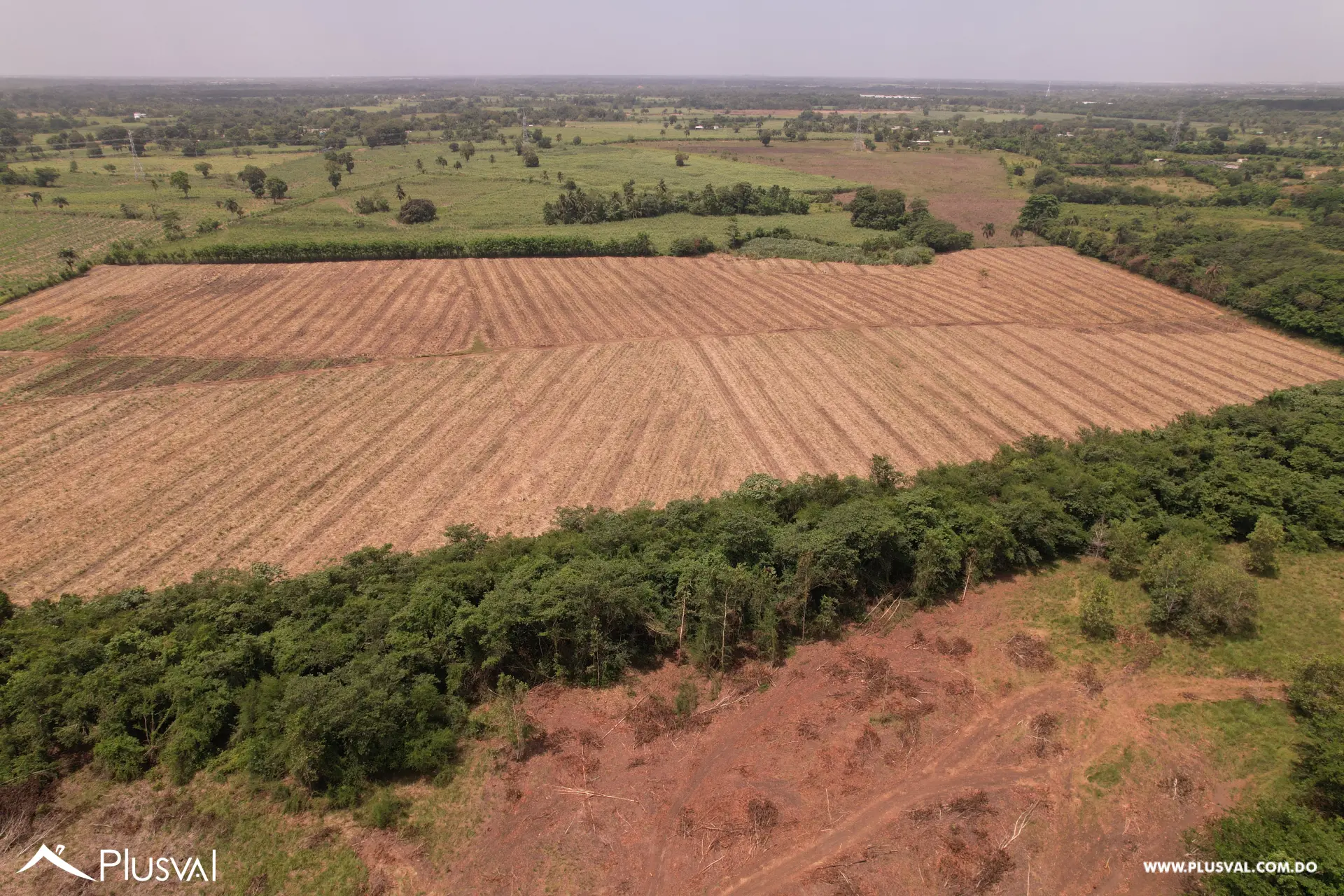 Finca Ganadera Deslindada de 271 Tareas 515866