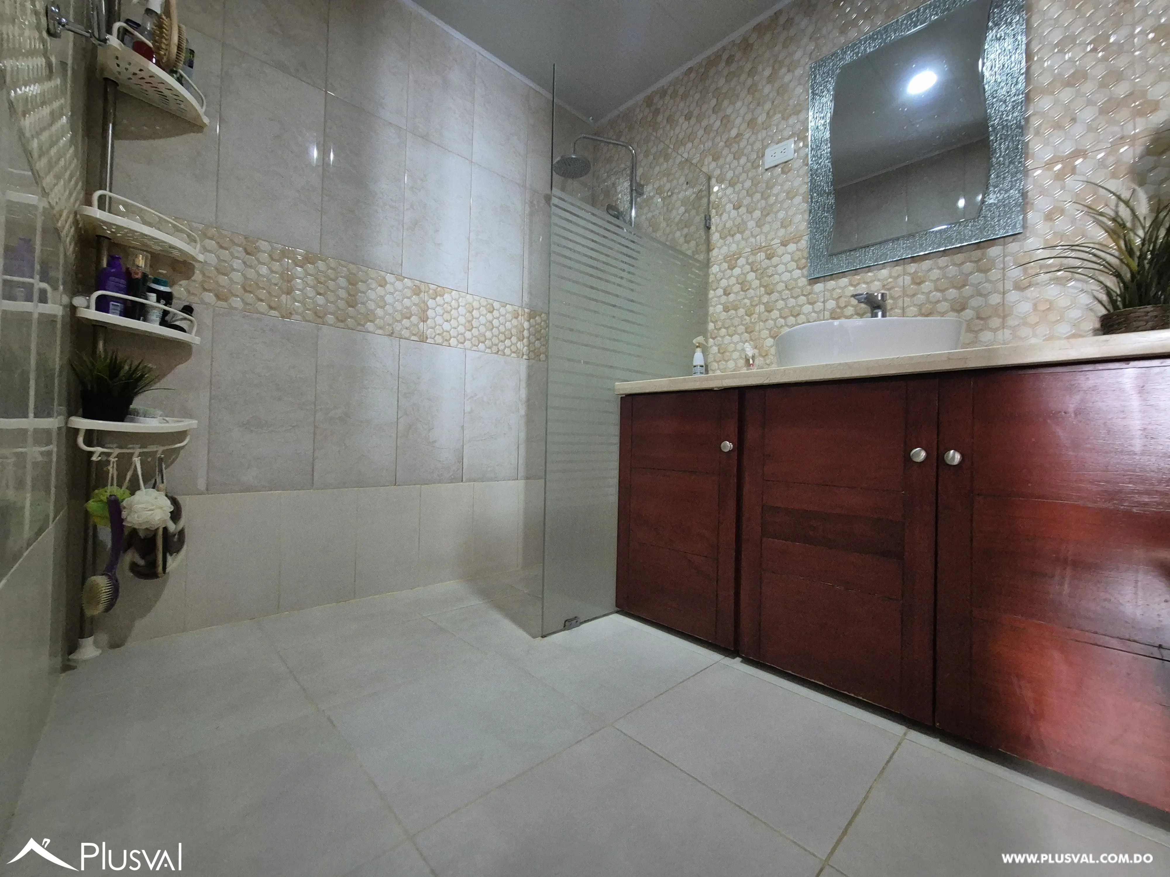 Apartamento tipo Penthouse en venta en el Millon 493484