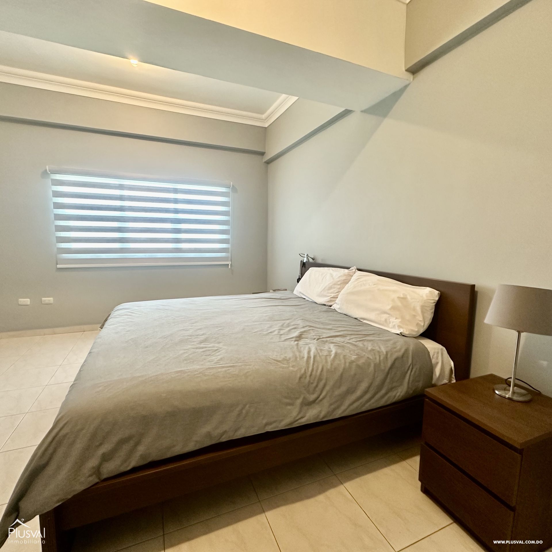 Amplio apartamento Amueblado en Alquiler en Piantini, DN 423627