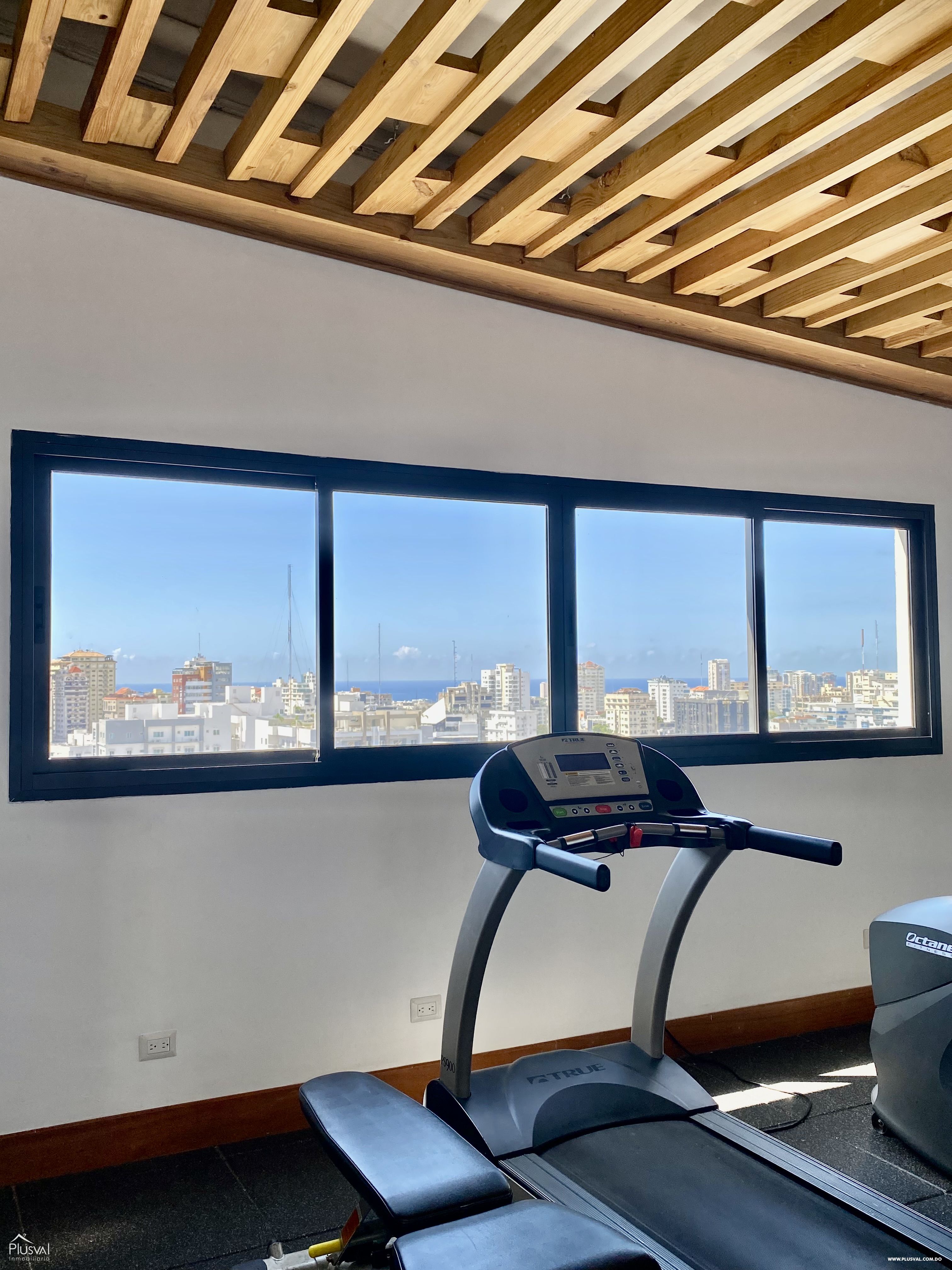 Apartamento en venta en Naco, piso 10 273228