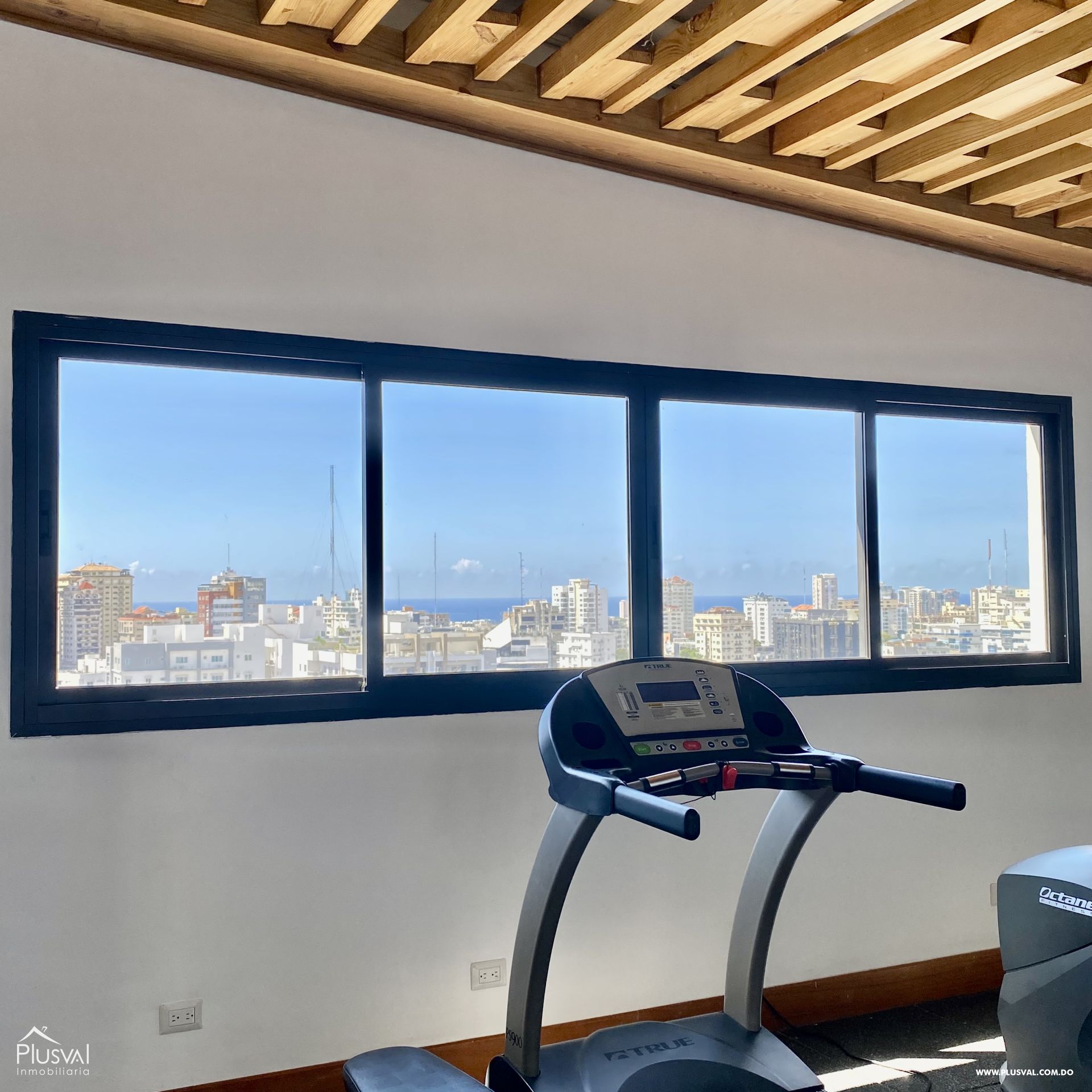 Apartamento en venta en Naco, piso 10 273228