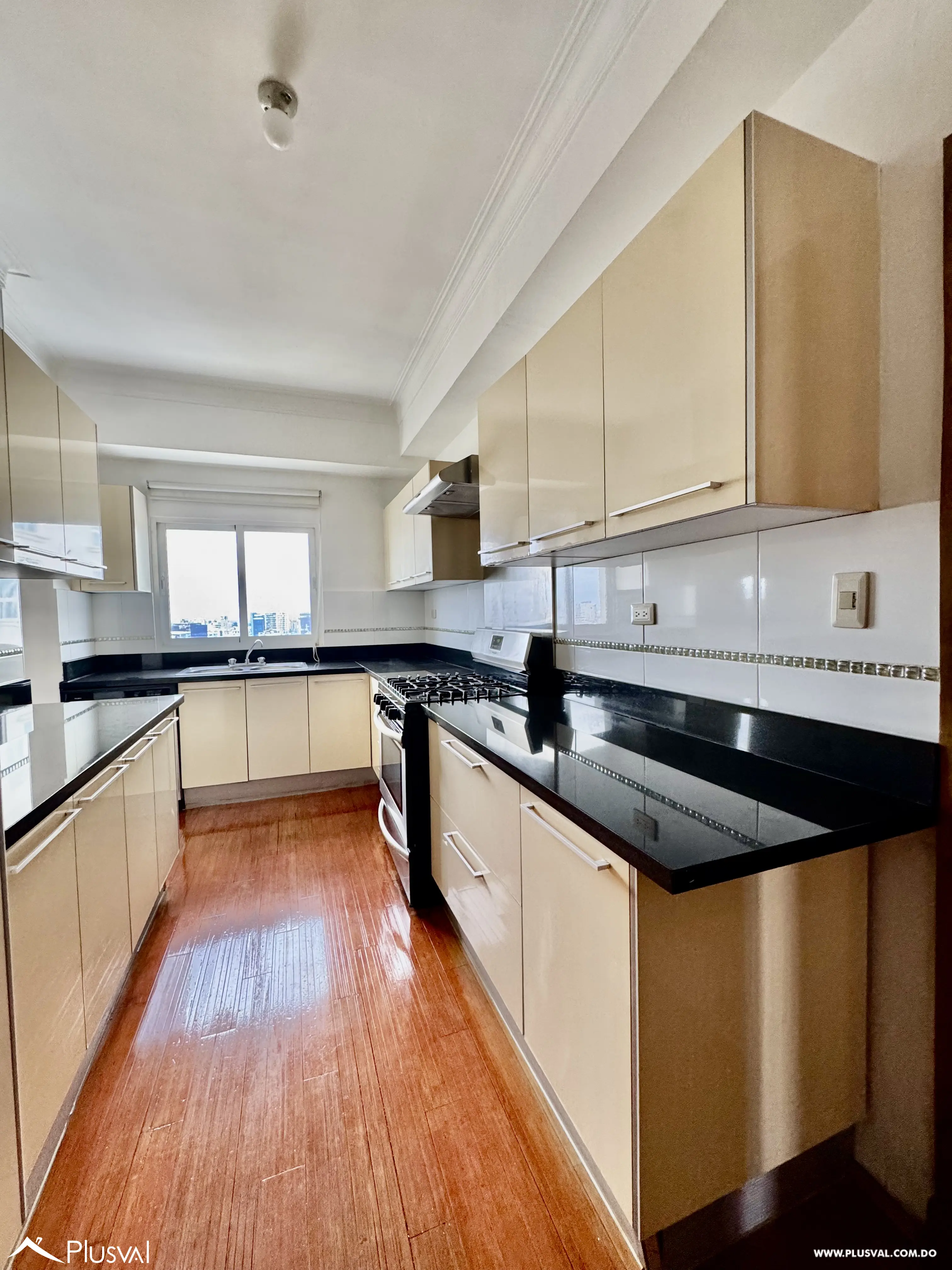 Vendo Amplio y Maravilloso Pent House en una de las Zonas mas Exclusivas de La Esperilla 490601