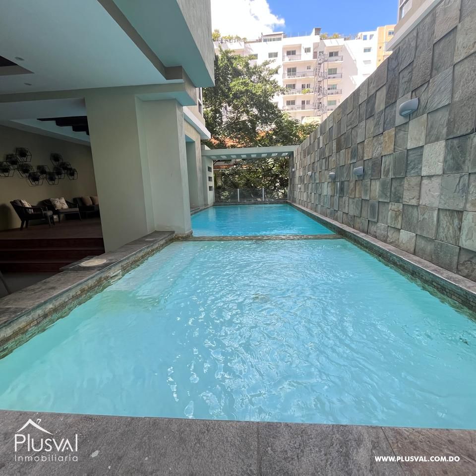 Apartamento amueblado en alquiler en el sector de Piantini 347406