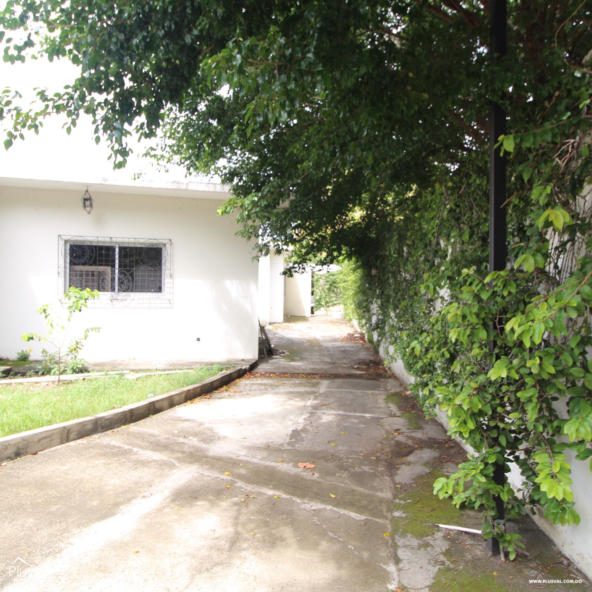 Amplio terreno en venta  ubicado en la Máximo Gómez . 209985
