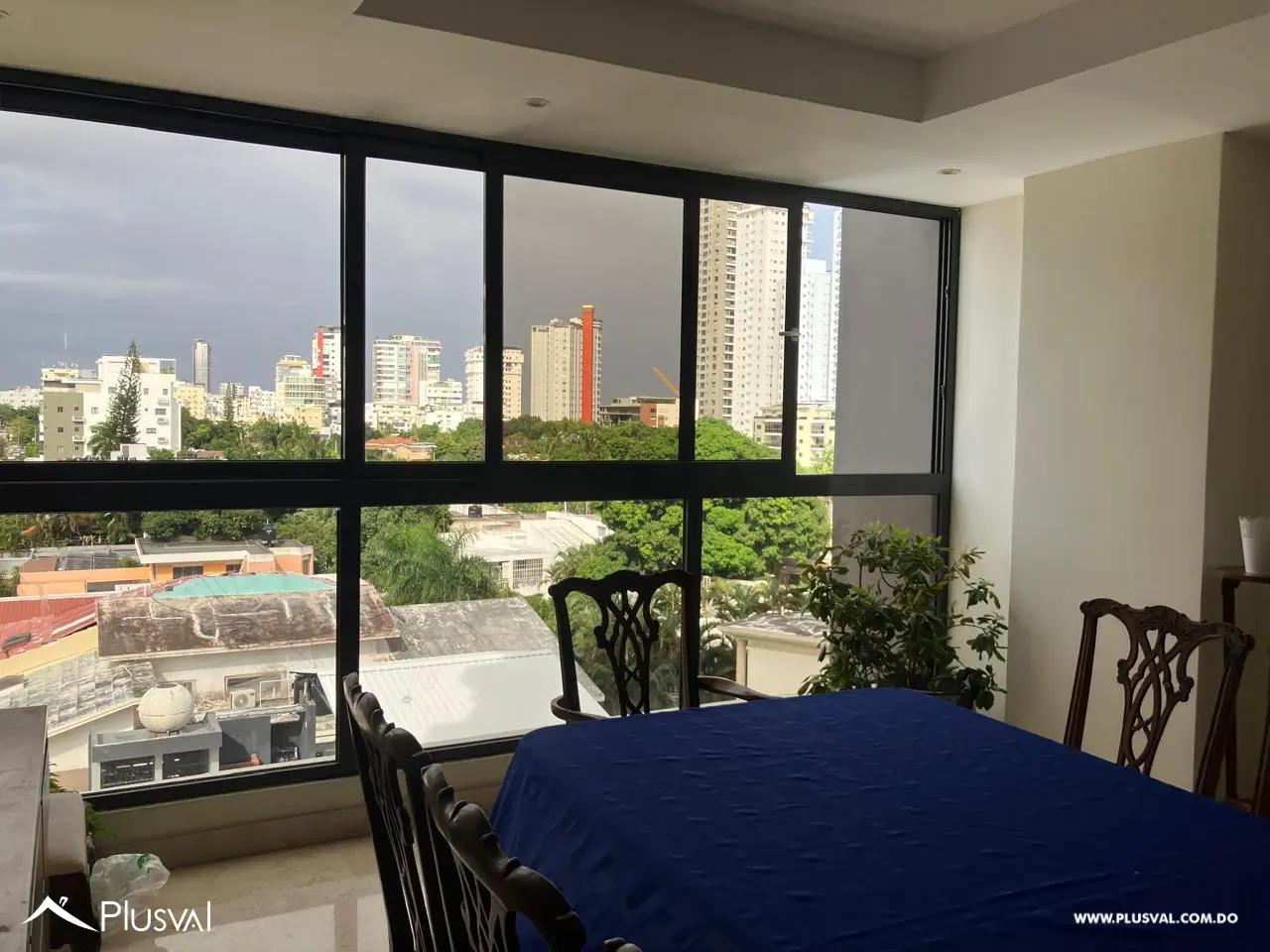 Alquilo Maravilloso y Amplio  Apartamento de lujo en la Anacaona de 300 mt2 463419