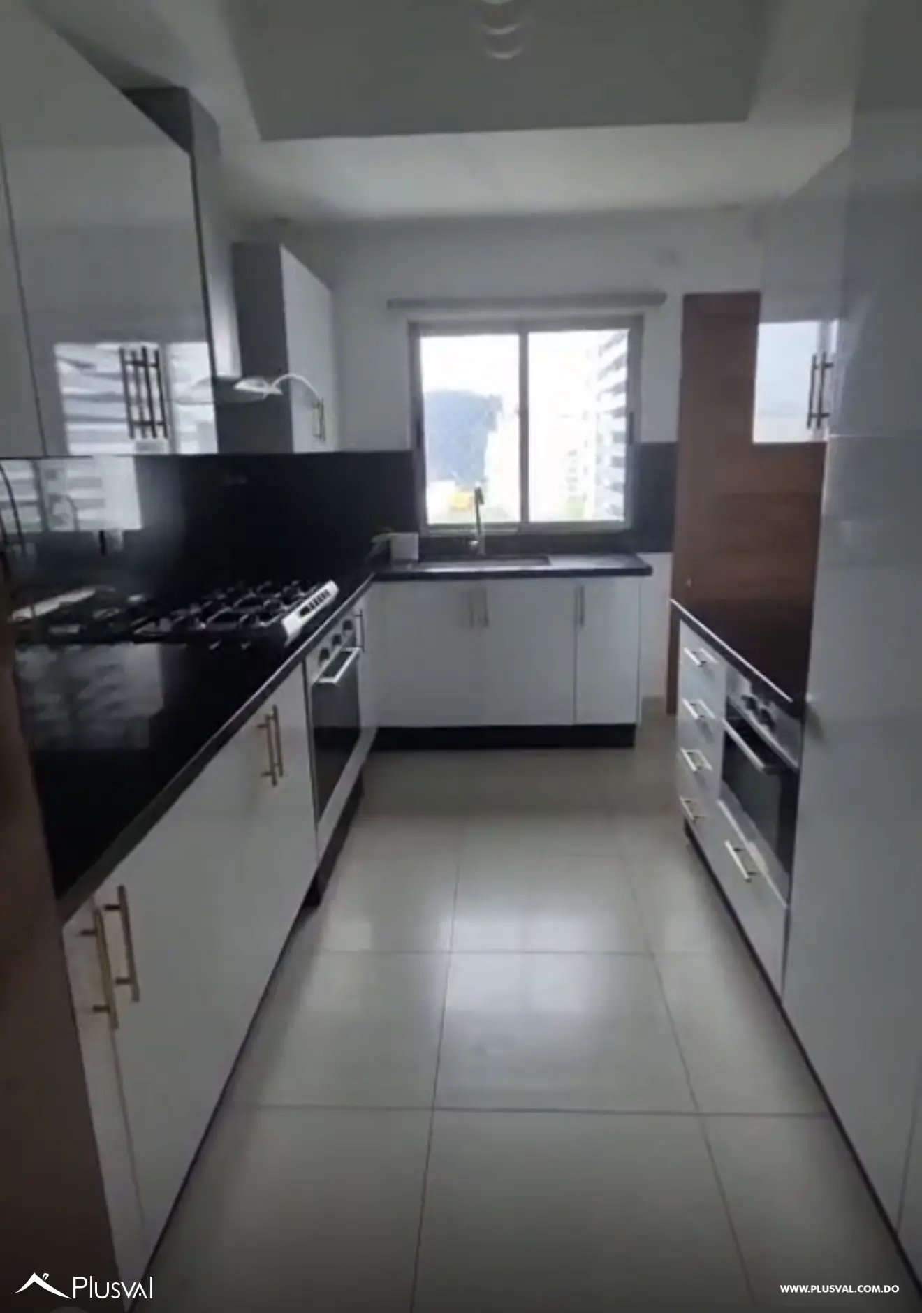 Alquiler de Penthouse en Naco 507451