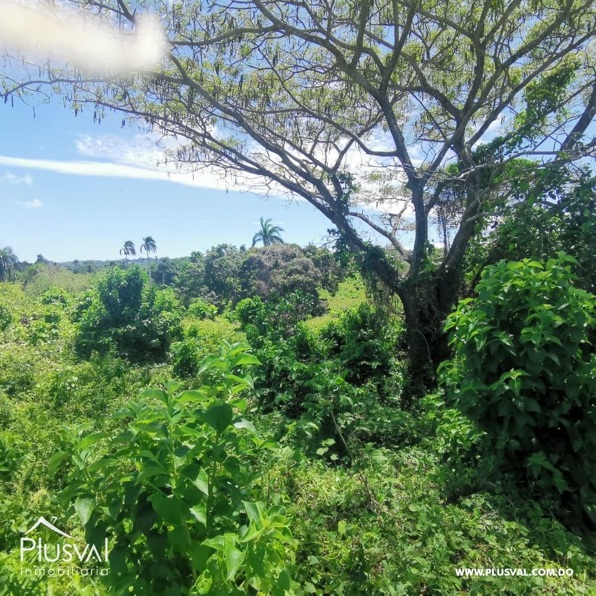 Solar en venta en Cabrera con vista al mar en la montaña 172396