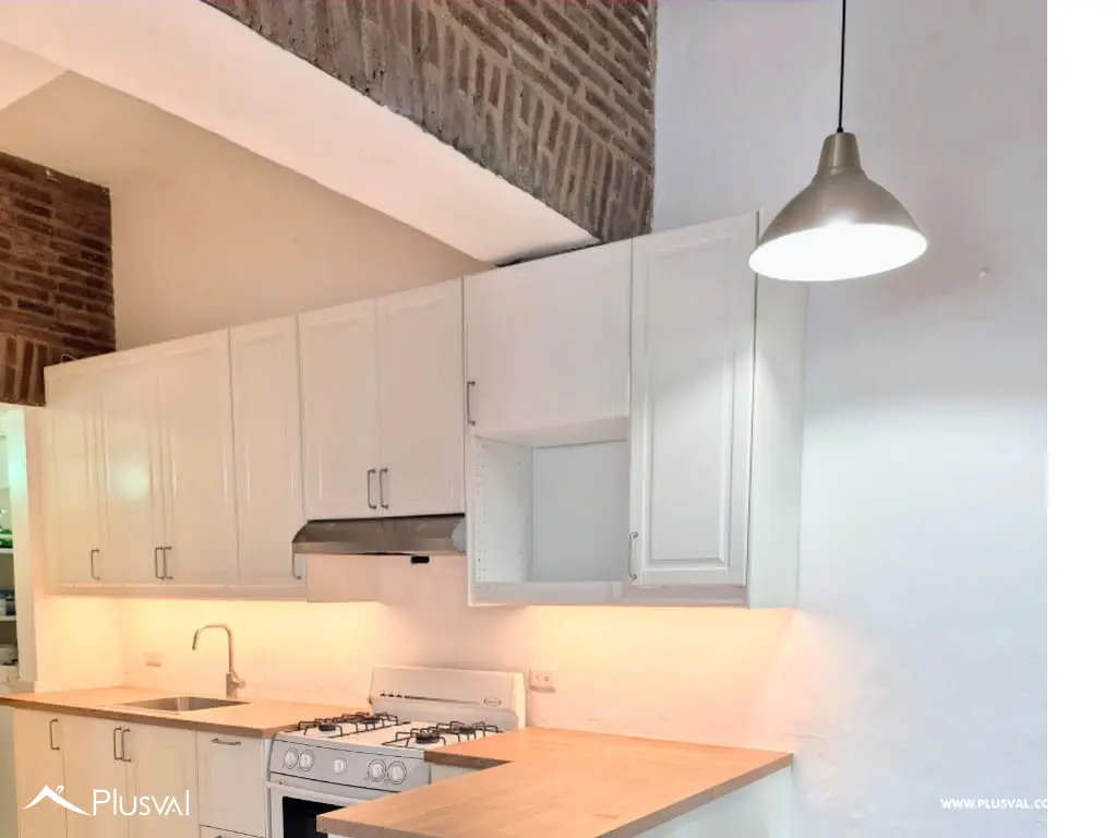 Pent-House Ameublado en Alquiler con vistas únicas de la Zona Colonial 515169