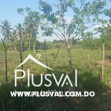 Solar en Circunvalacion  hacia Villa Mella 332932