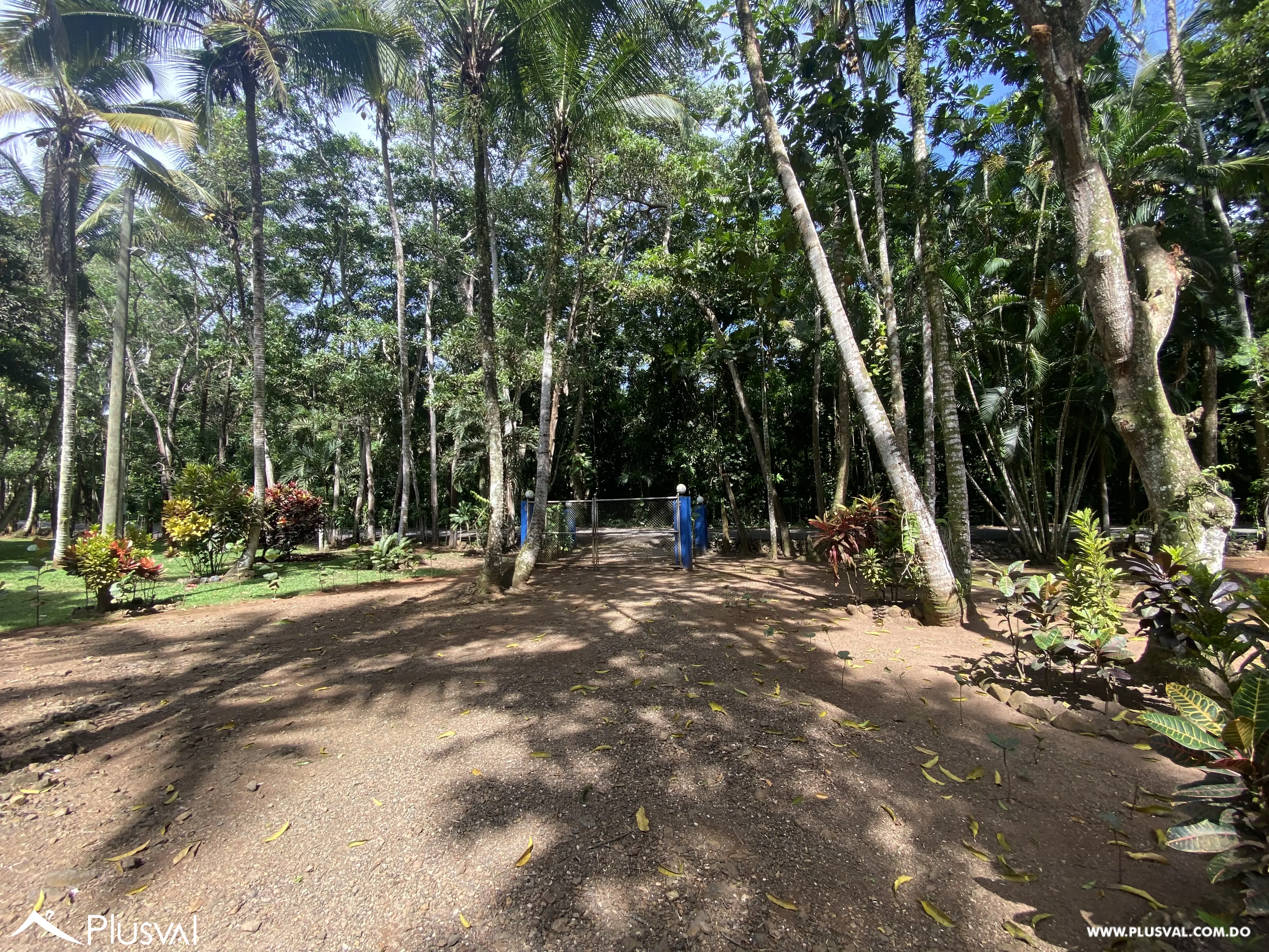 Finca de 106 tareas en Venta, Los Cocos | Pedro Brand 452063