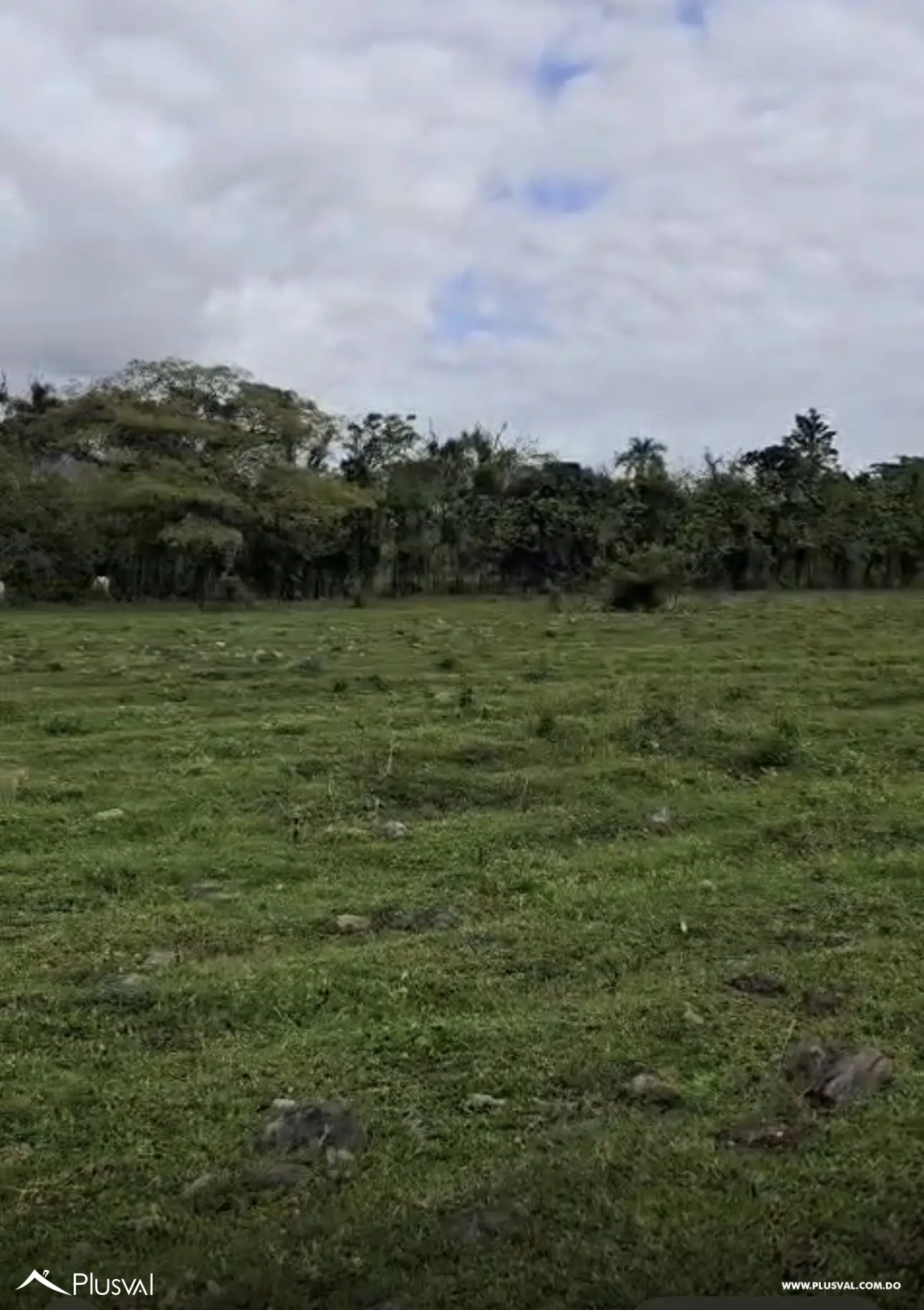 Terreno en venta en La Salvia-Los quemados de Bonao 507608