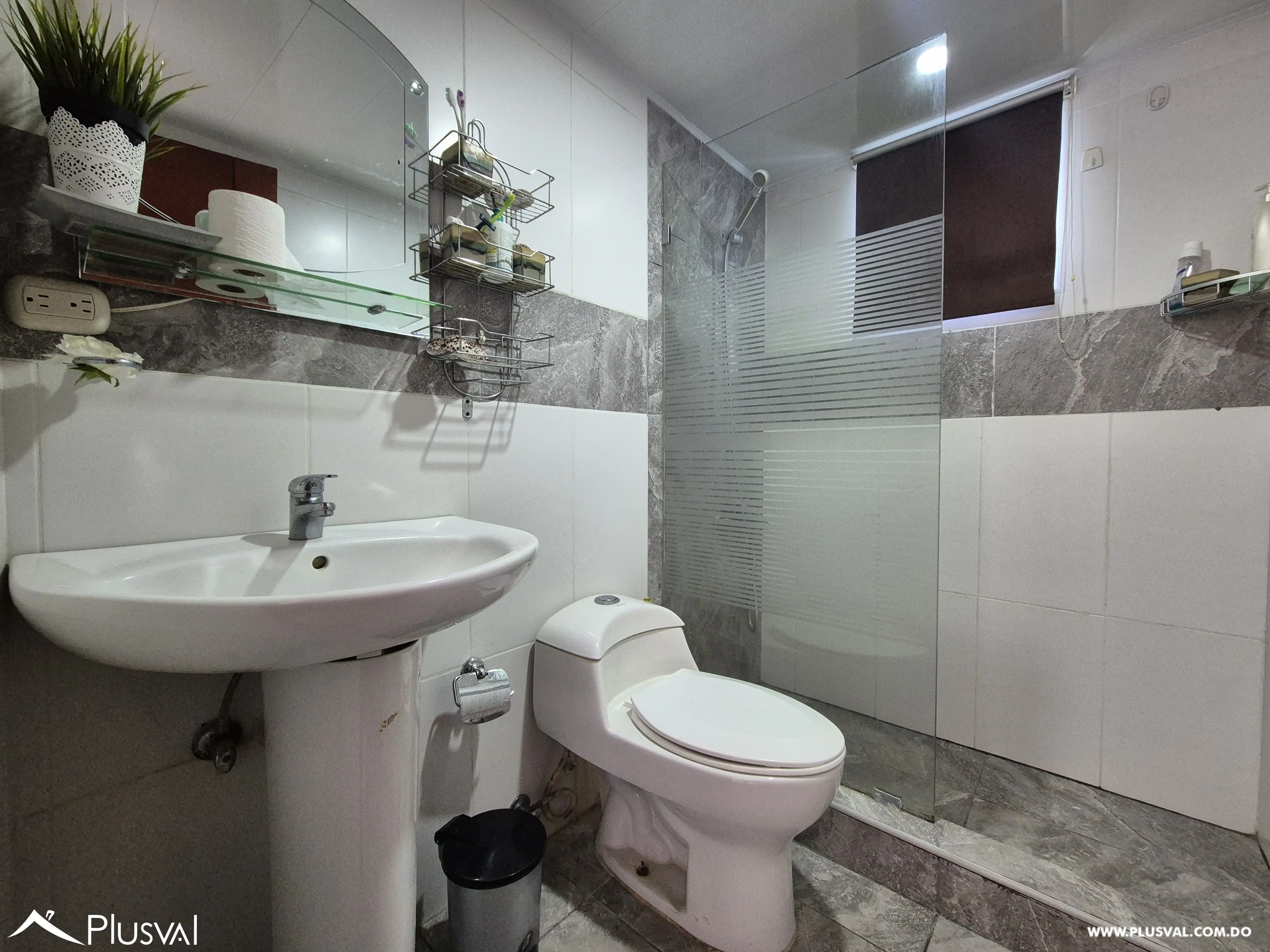 Apartamento tipo Penthouse en venta en el Millon 493481