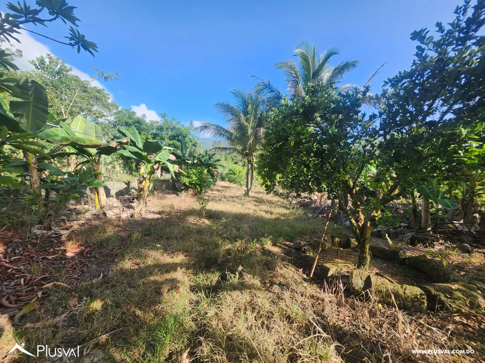 Vendo Excelente Finca en Rancho Los Mogotes- Villa Altagracia 522592
