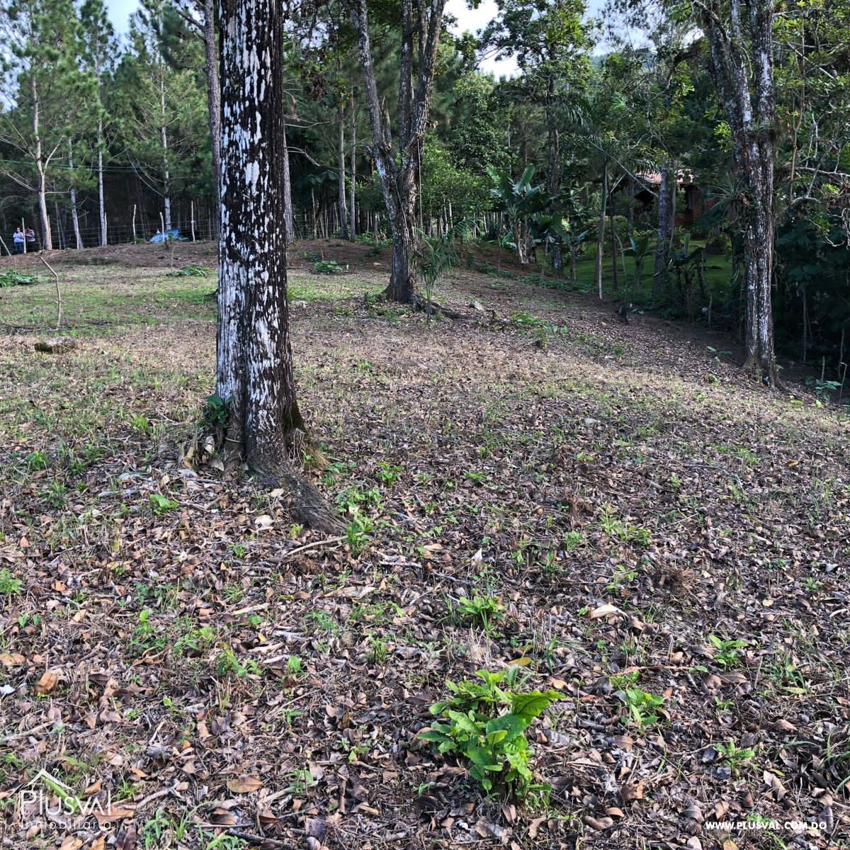 Solar con excelente ubicación en Jarabacoa 351923