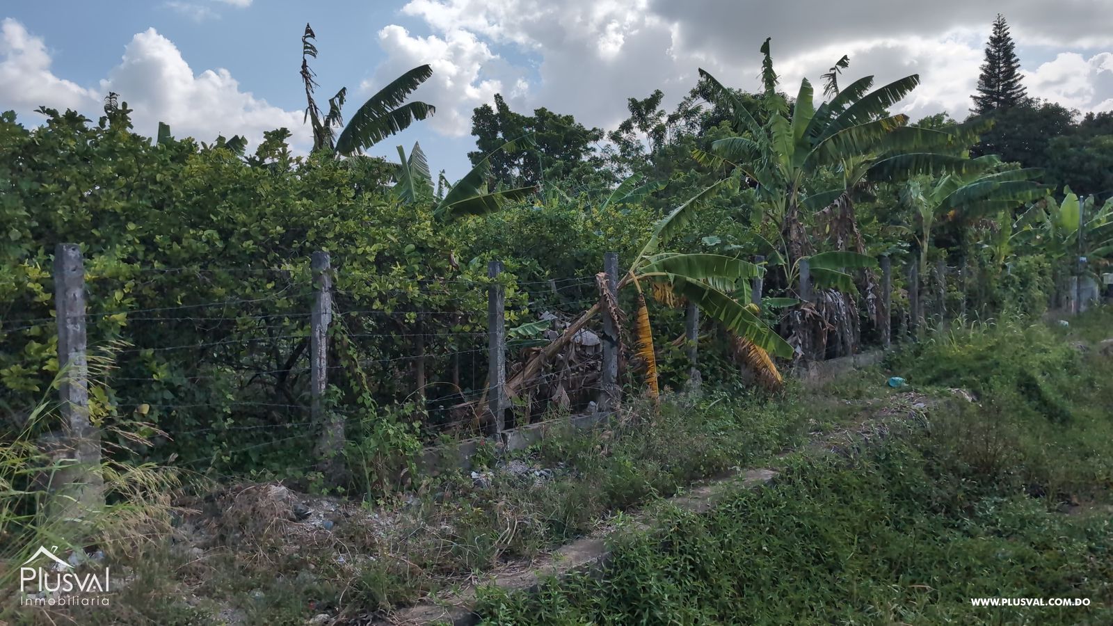 Solar en Venta en Zona Estratégica Ideal para Desarrolladores 454630