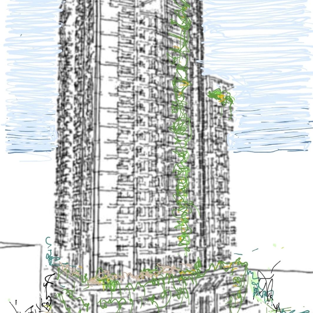 Proyecto en construcción en la ESPERILLA. 241072
