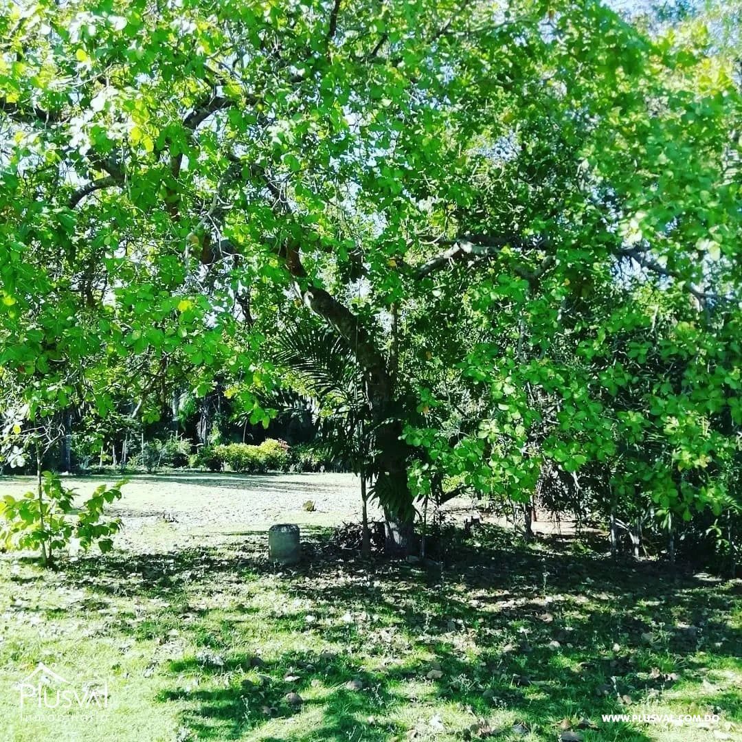 Finca en venta en Hoyo Oscuro de Sierra Prieta 378229