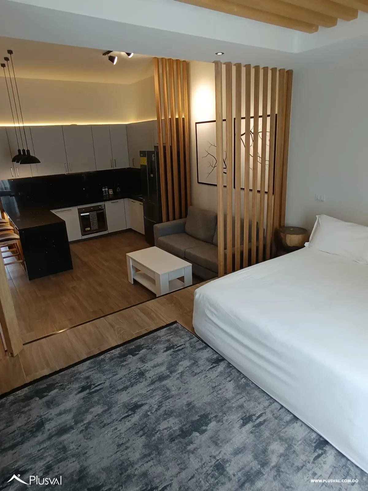 Apartamento Tipo Condo Hotel de 1 Habitacion 470062