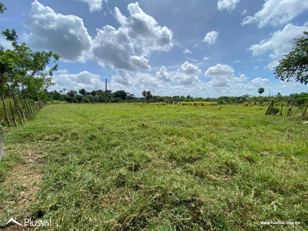 Terreno de 38 Tareas en Venta Gran Oportunidad de Inversión 456652