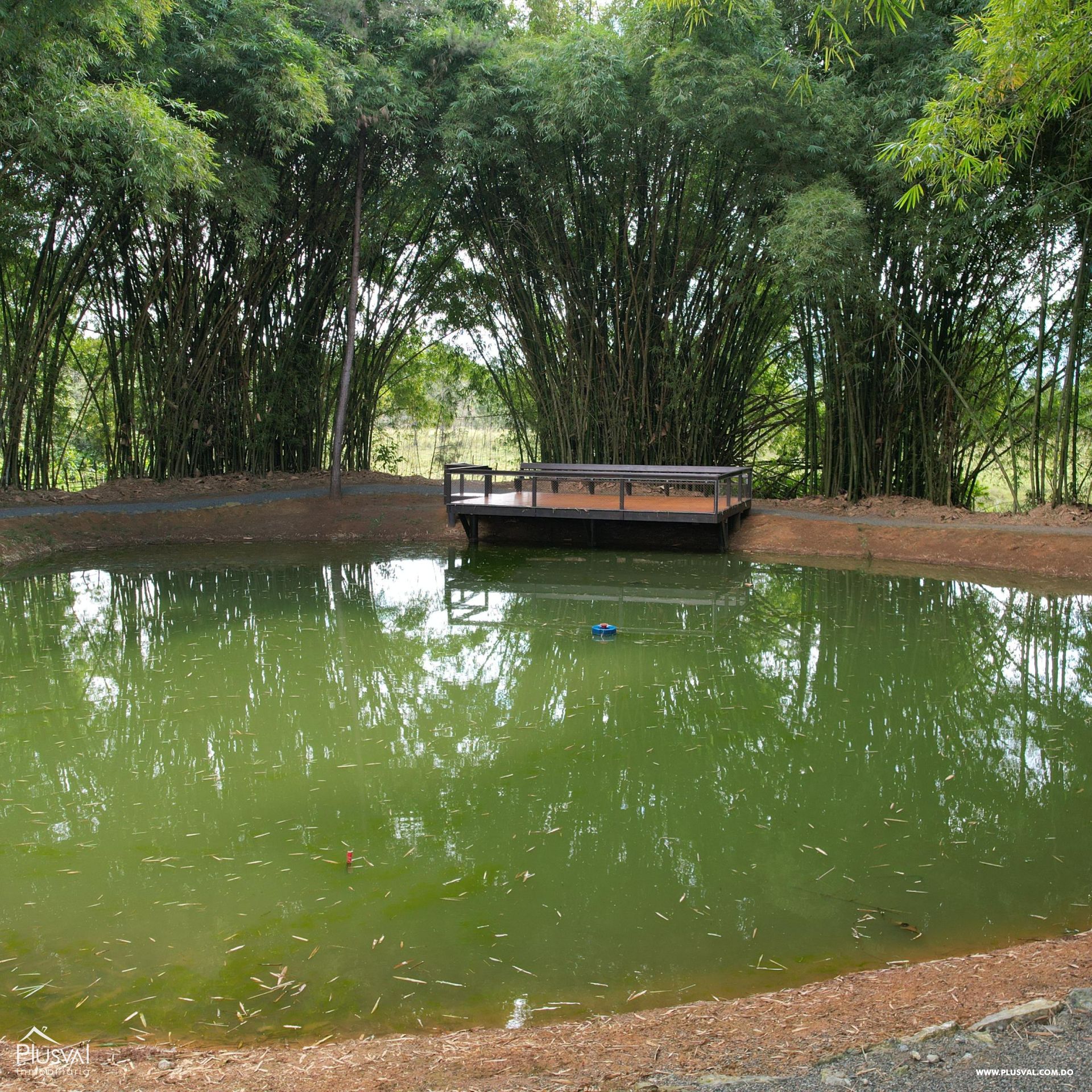 Proyecto de solares en venta ubicado en Jarabacoa y con vistas a la montaña 408243