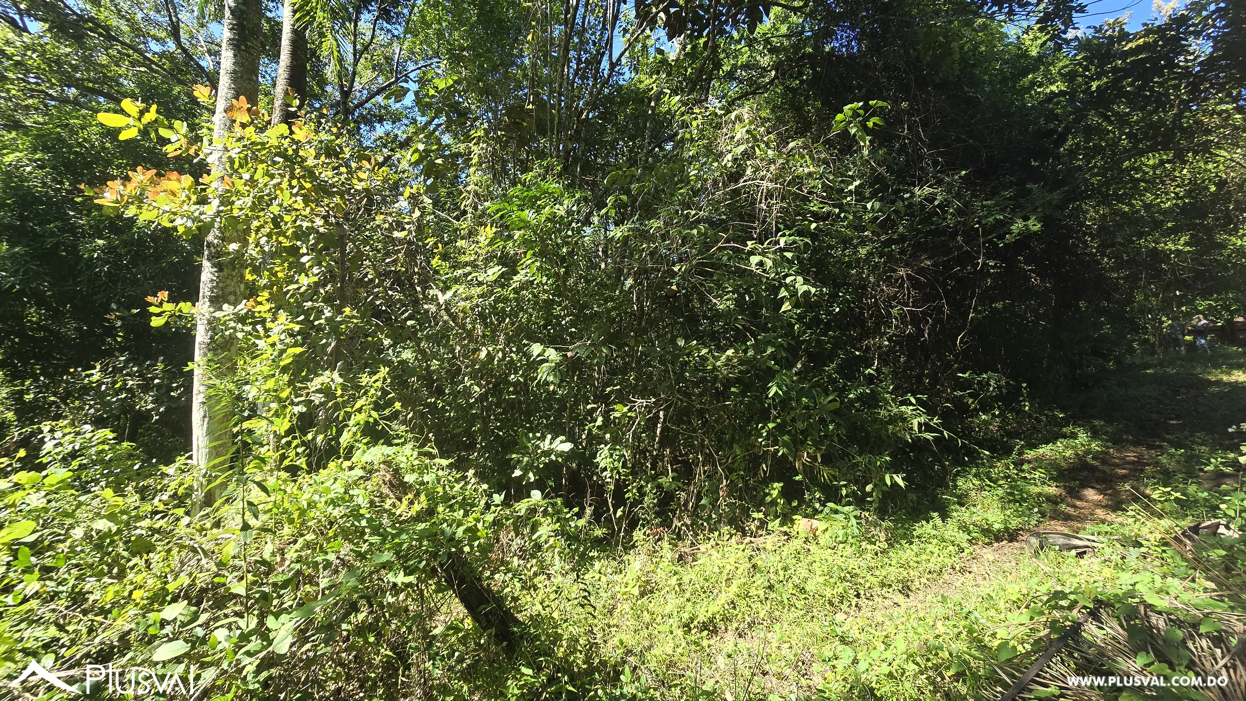 Oportunidad de inversion: Solar en vacacional matua. 486345