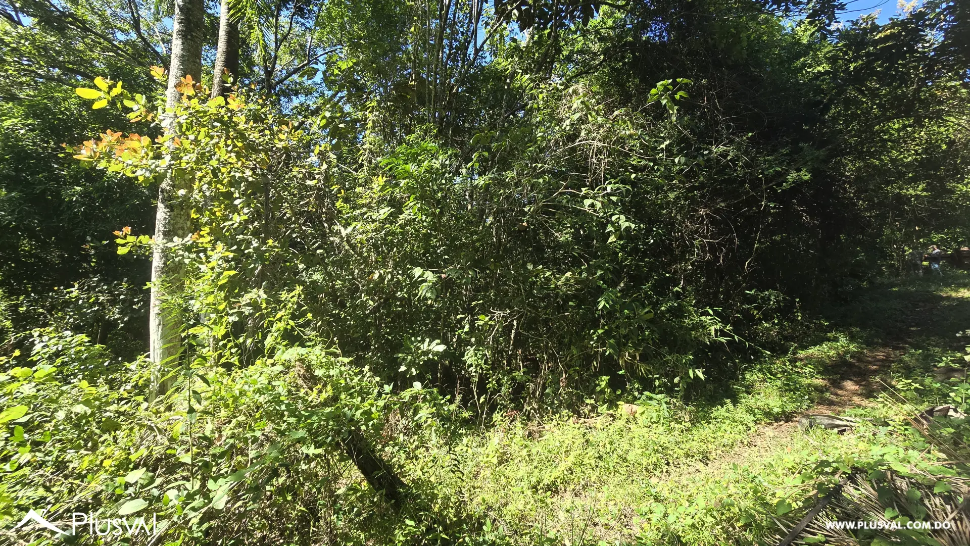 Oportunidad de inversion: Solar en vacacional matua. 486345