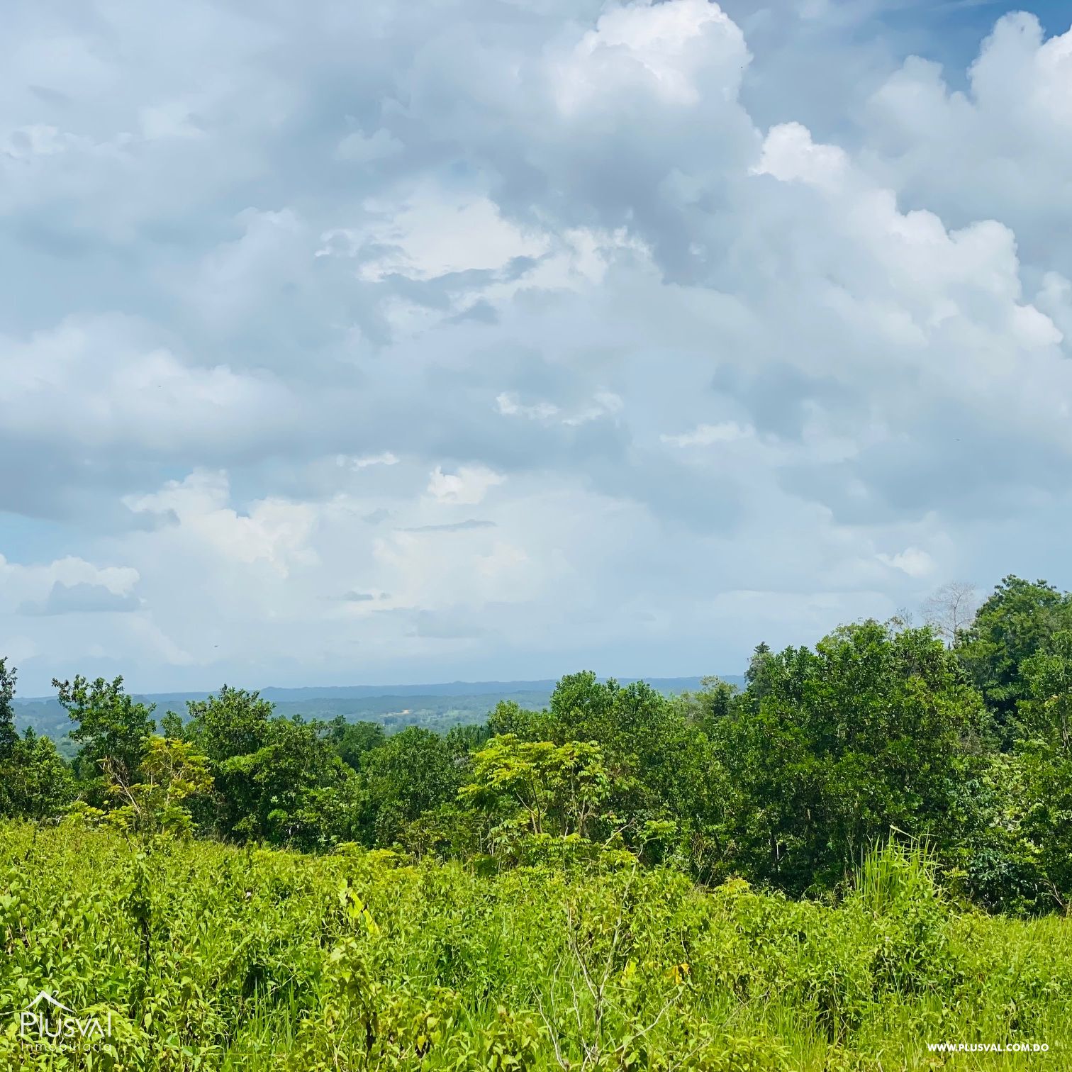 Venta de Finca Forestal en Cevicos Cotuí 232902