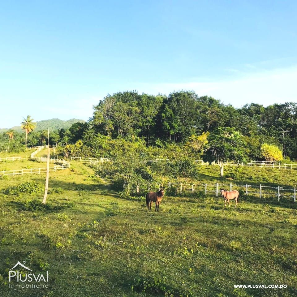 Terreno en venta en Samana 353024