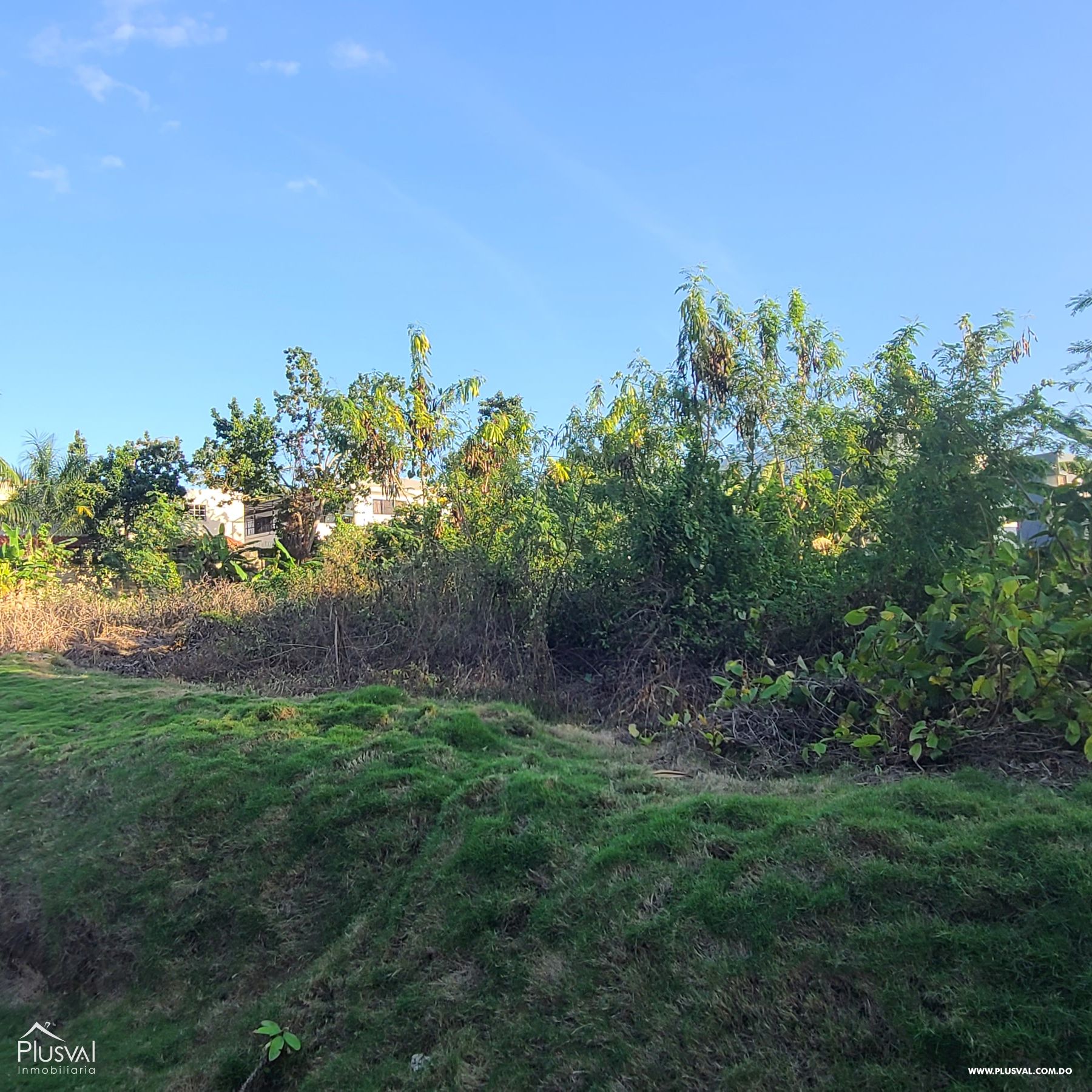 Venta de Solar de 1,000 mts2, Arroyo Hondo III 248615