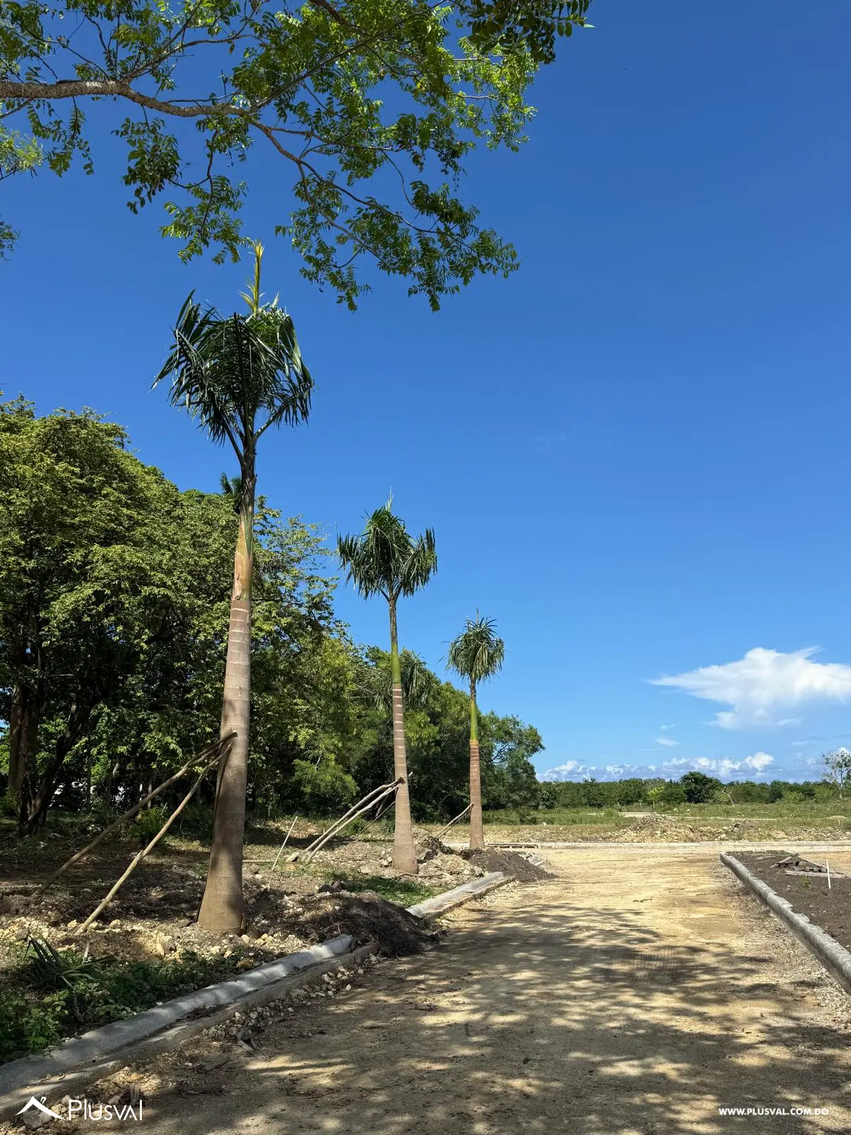 Solares en venta, Plantation 4 Star Hills, Puerto Plata 469237