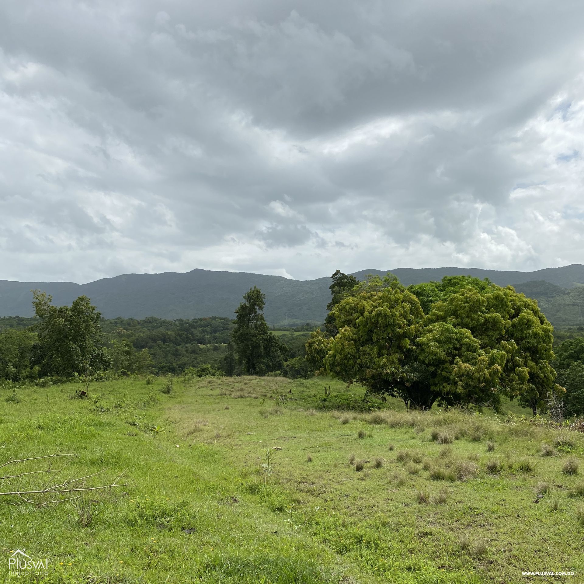 Exclusivo Lote en Pedro Brand 241021