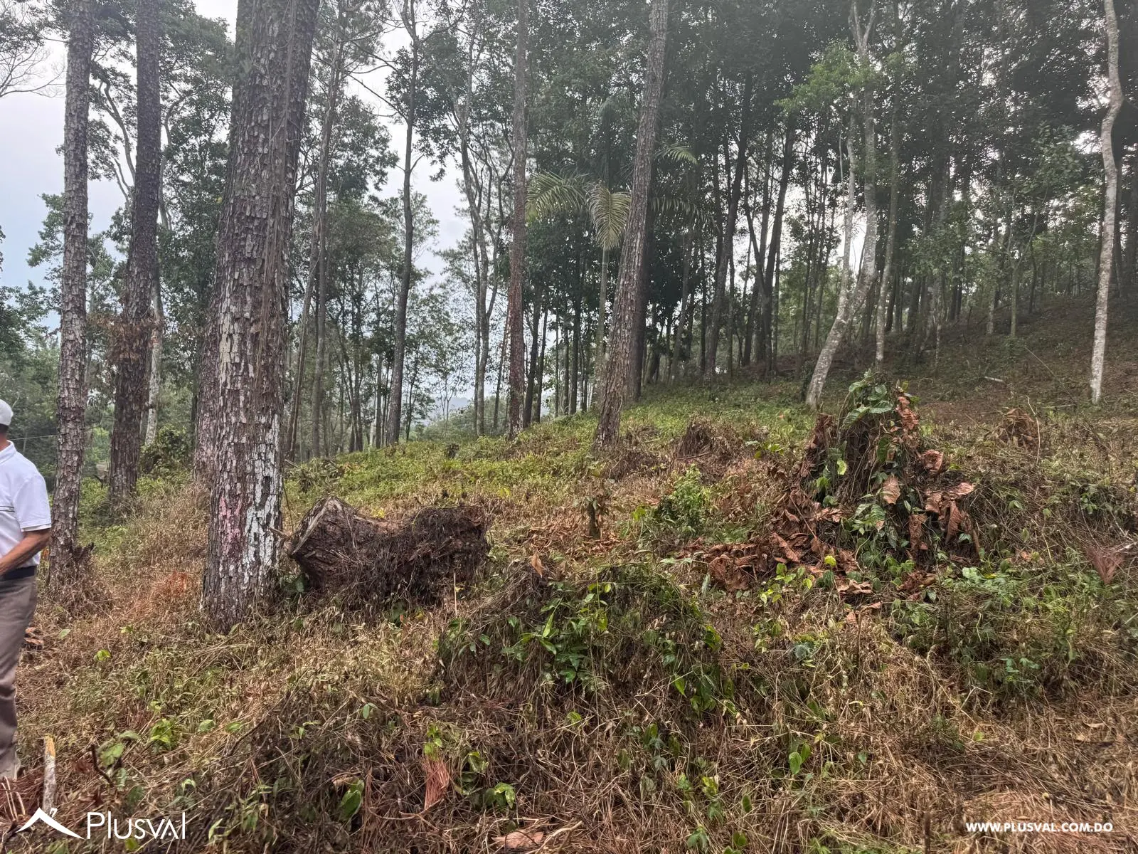 Solar en venta en Los Cerros Eco Village – Jarabacoa 523895