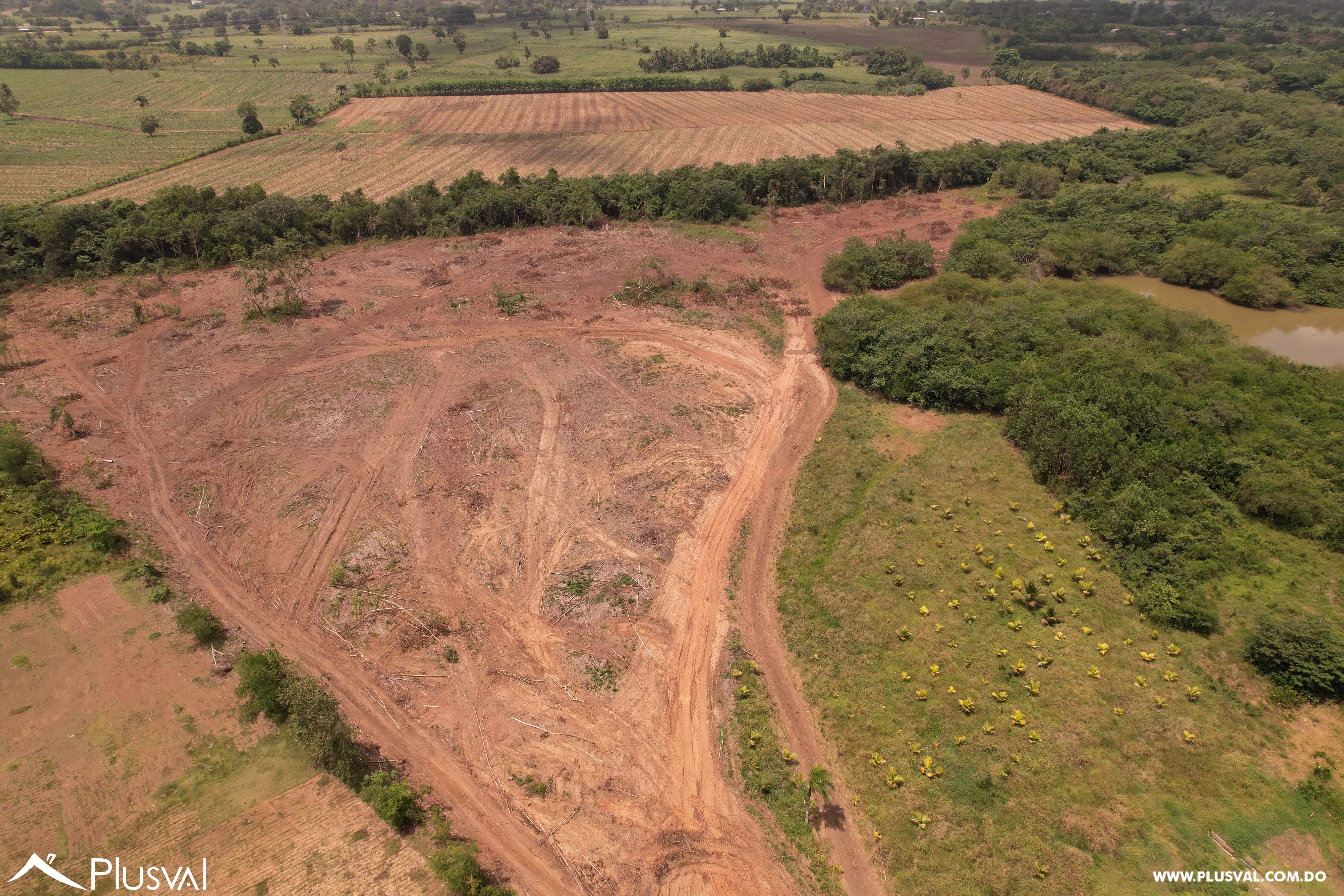 Finca Ganadera Deslindada de 271 Tareas 515863