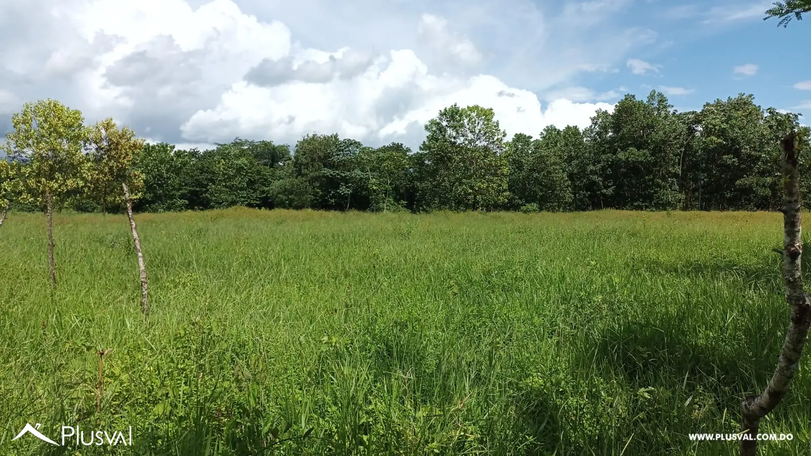 Finca a la venta en Piedra Blanca, Monseñor Nouel, carretera Yuboa 463550