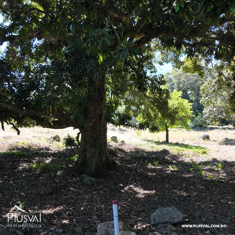 Proyecto de lotes con vista y mucha naturaleza en Jarabacoa 425310