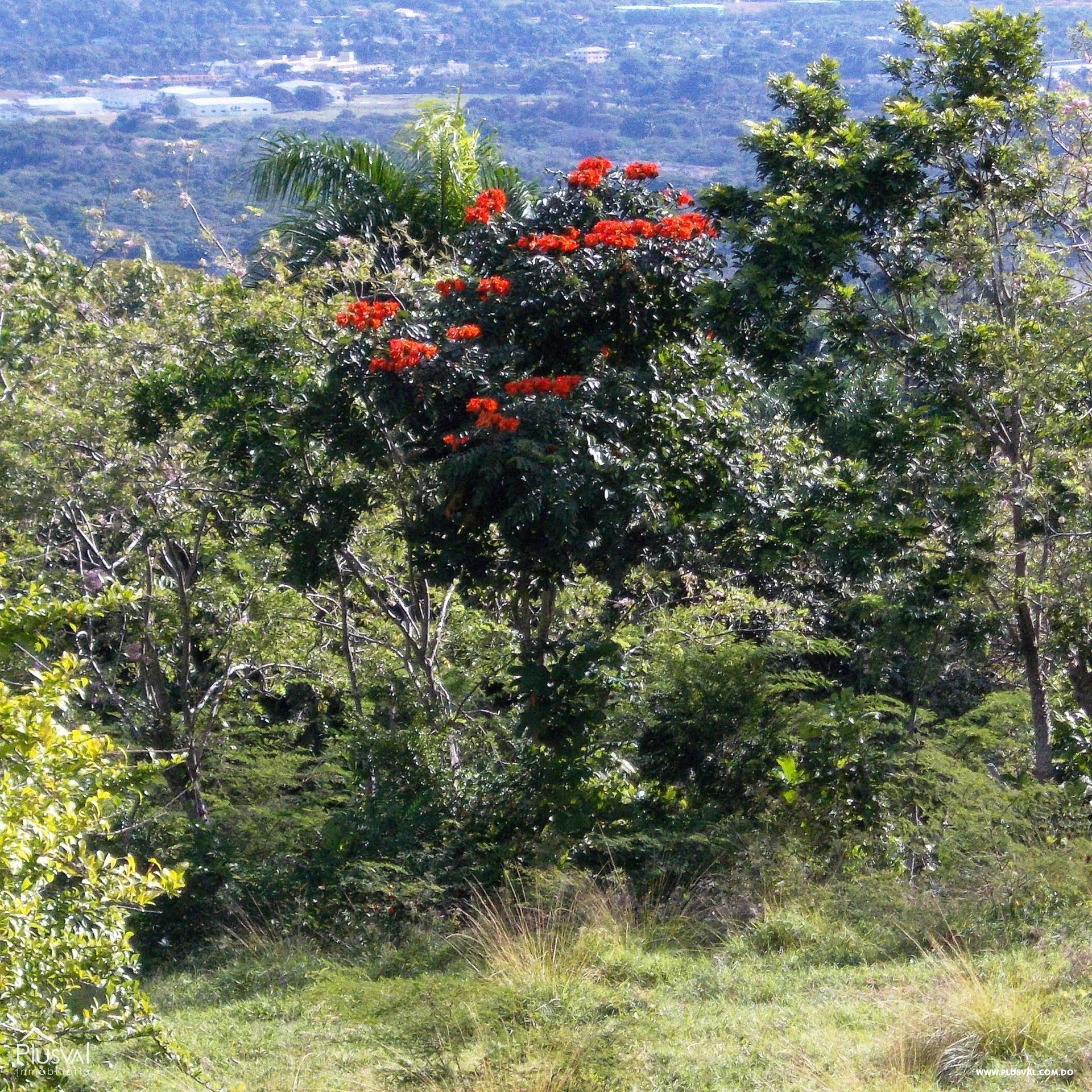 Solares en venta para villas con hermosas vistas en Puerto Plata. 362276
